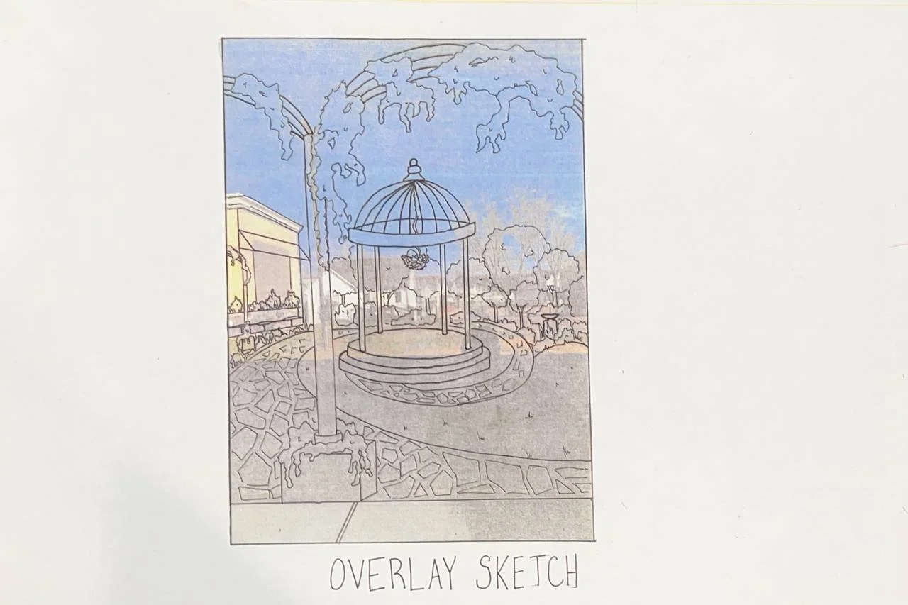 Black Bird Overlay.jpeg