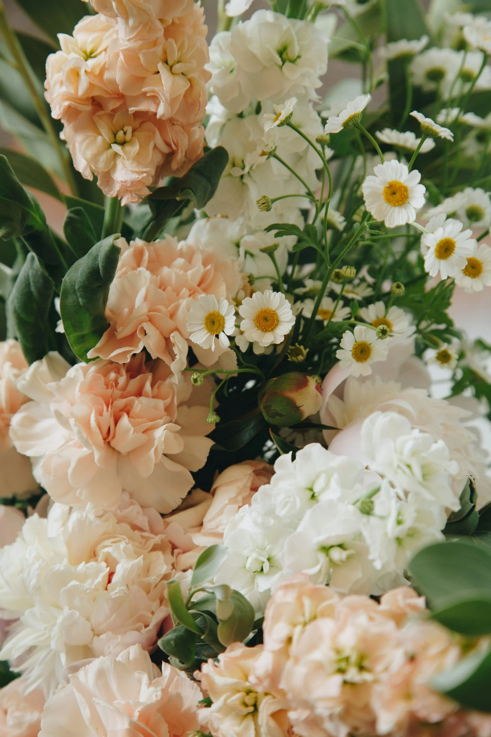 A close-up view of a bouquet of various flowers, including white daisies and light pink and white carnations with green leaves.