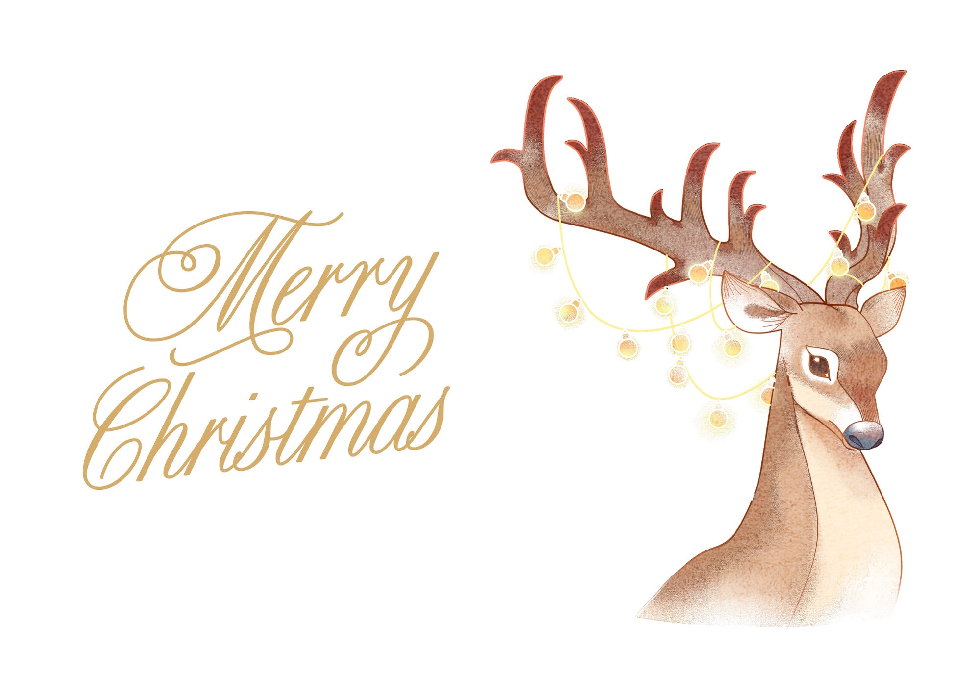 Wedding Invitation.png