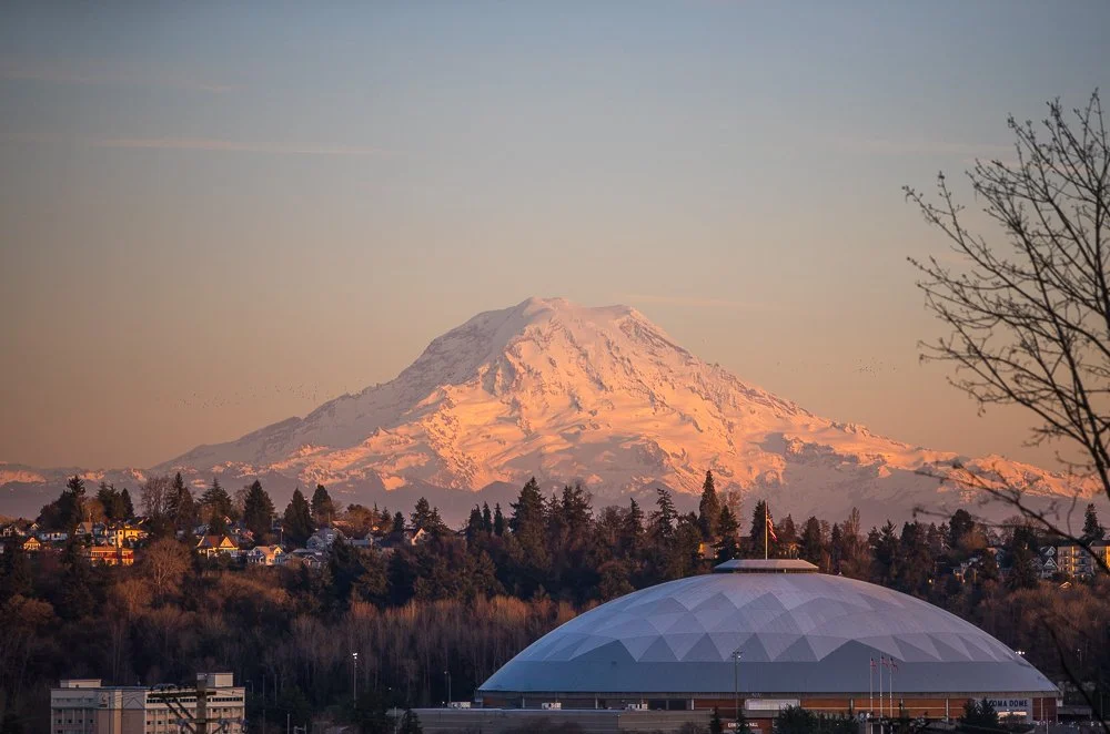 Seattle Mountain in the background, with snow, and a domed stadium in the foreground, with trees and houses around.