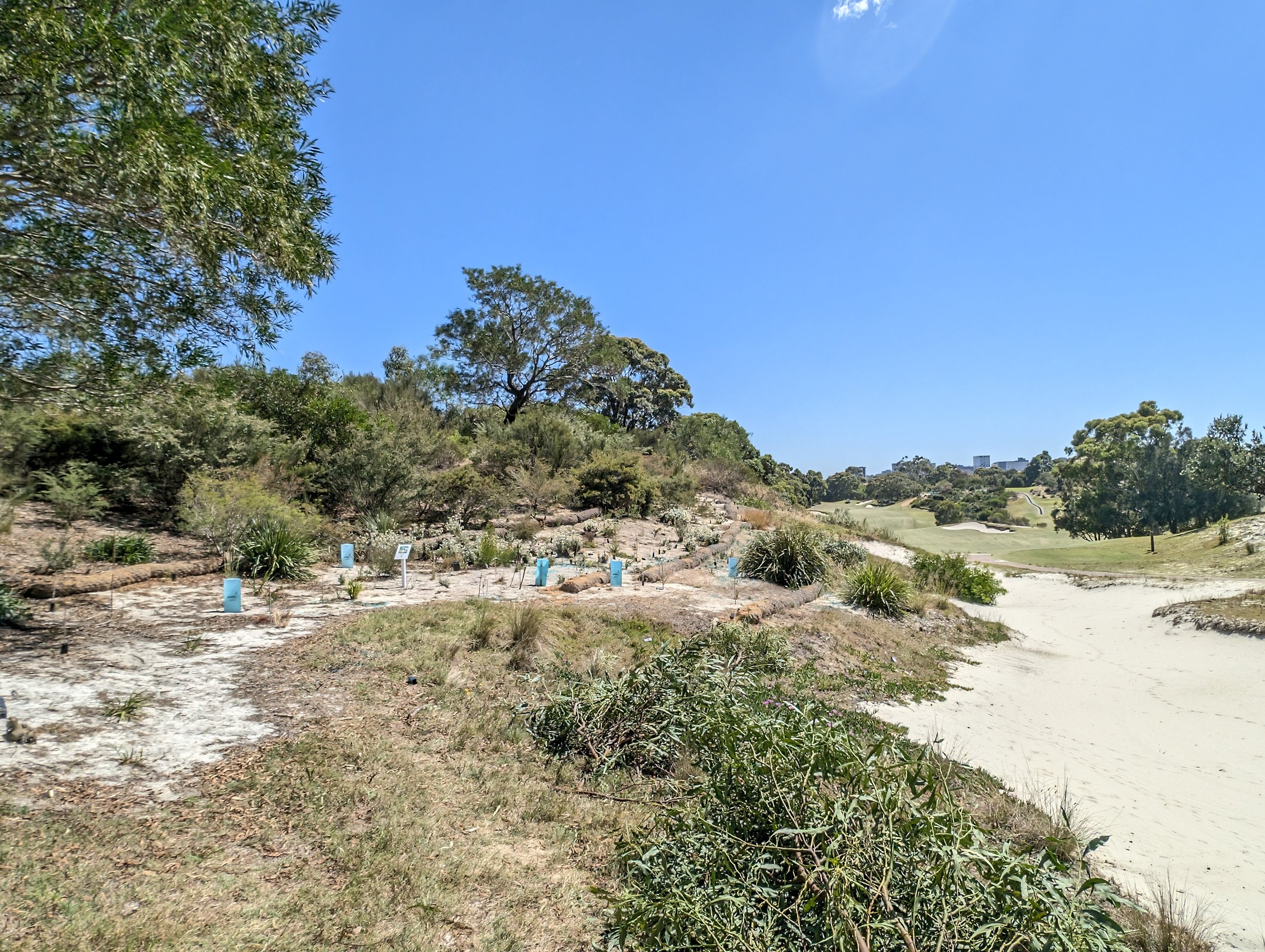 is now planted out with specifically selected natives to its area