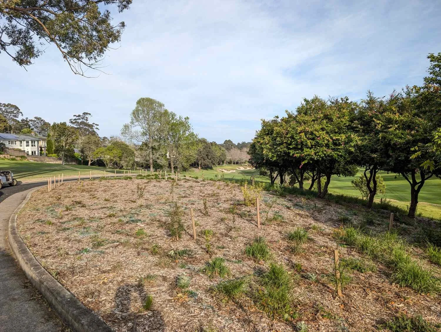 A landscaped park with small plants and young trees, a curving paved walkway, and a grassy area with mature trees, under a partly cloudy sky.