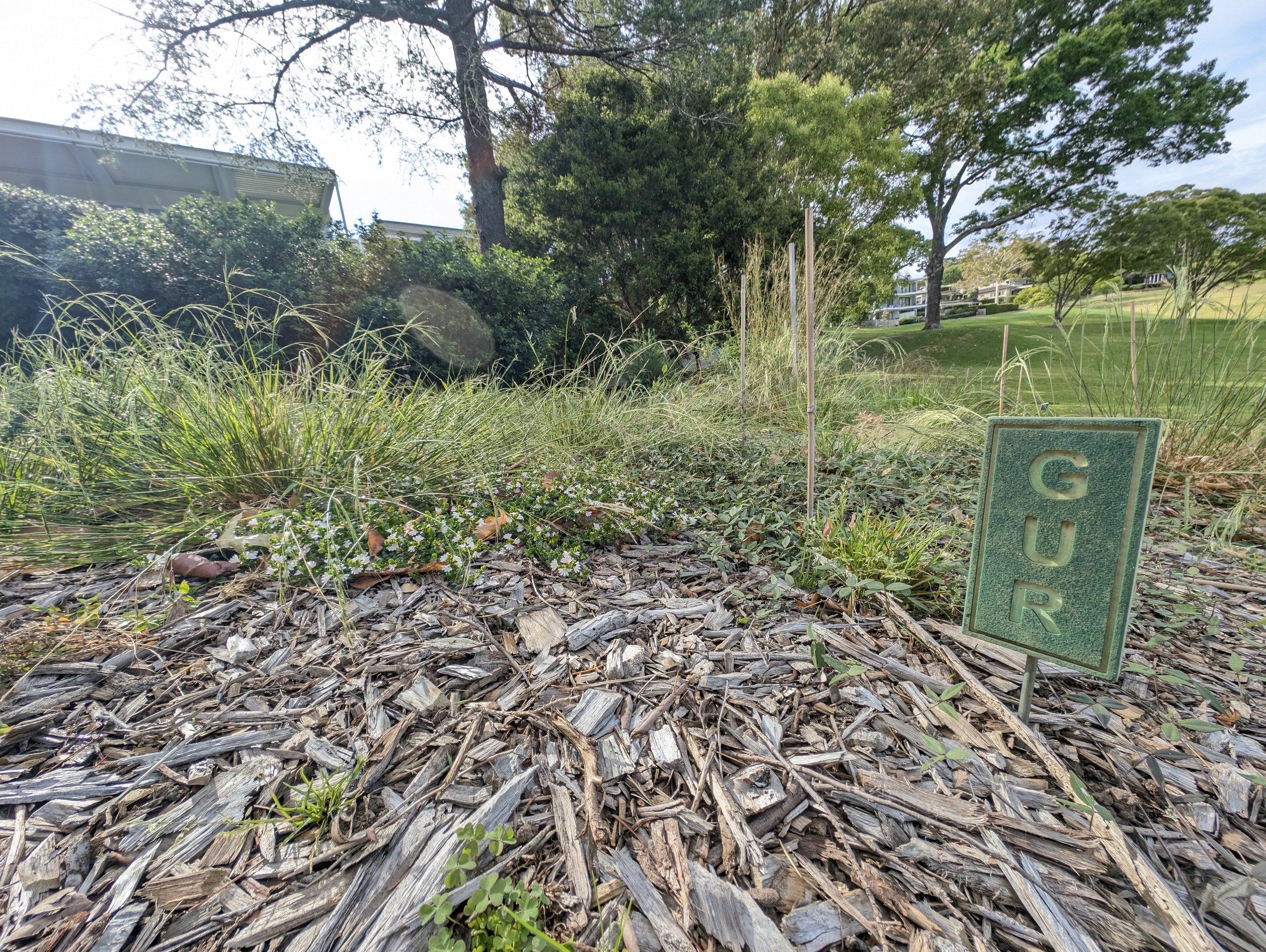 Unused rough re naturalized 