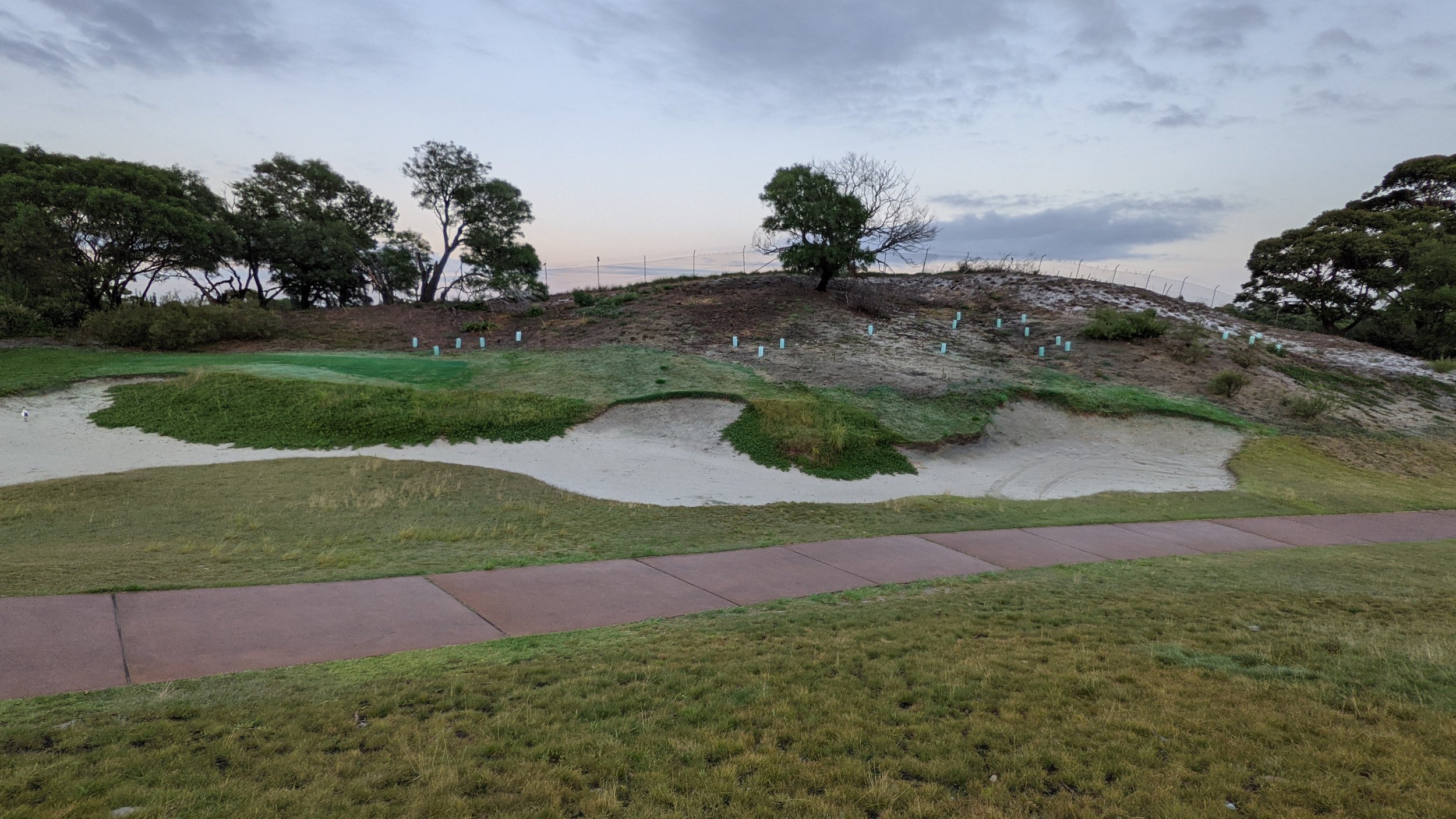 PXL_20210117_191044959 1.jpg