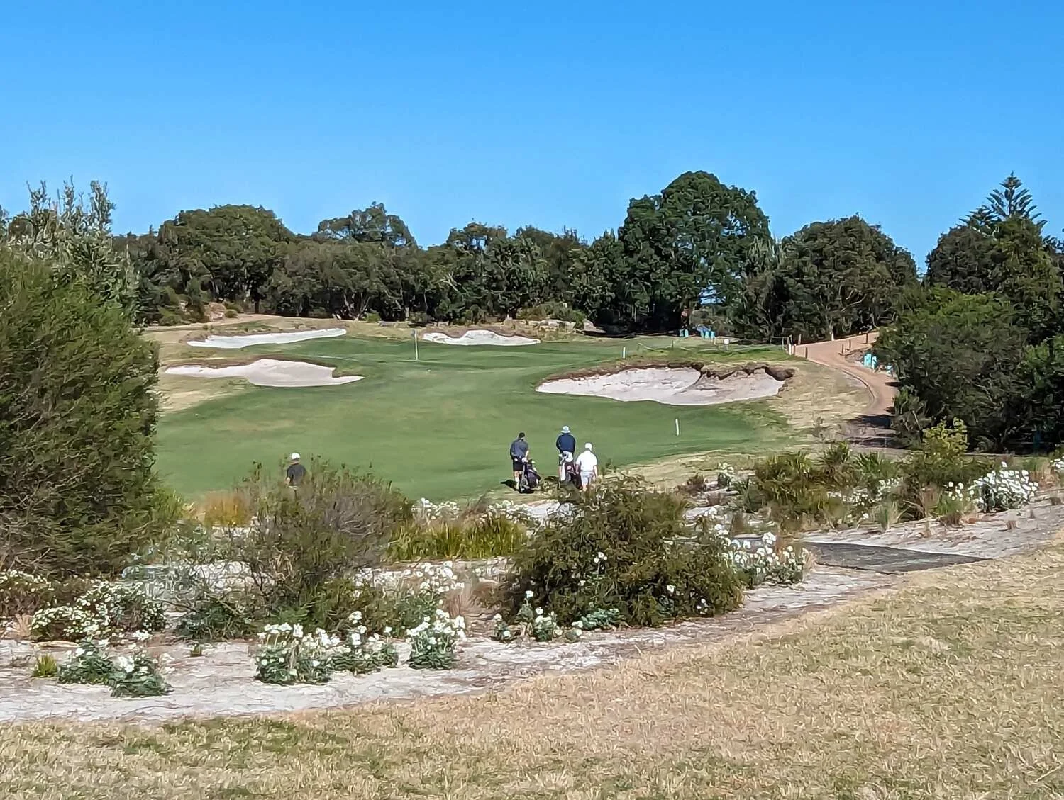 A golf course with three golfers playing near sand traps, surrounded by trees and shrubbery under a clear blue sky.
