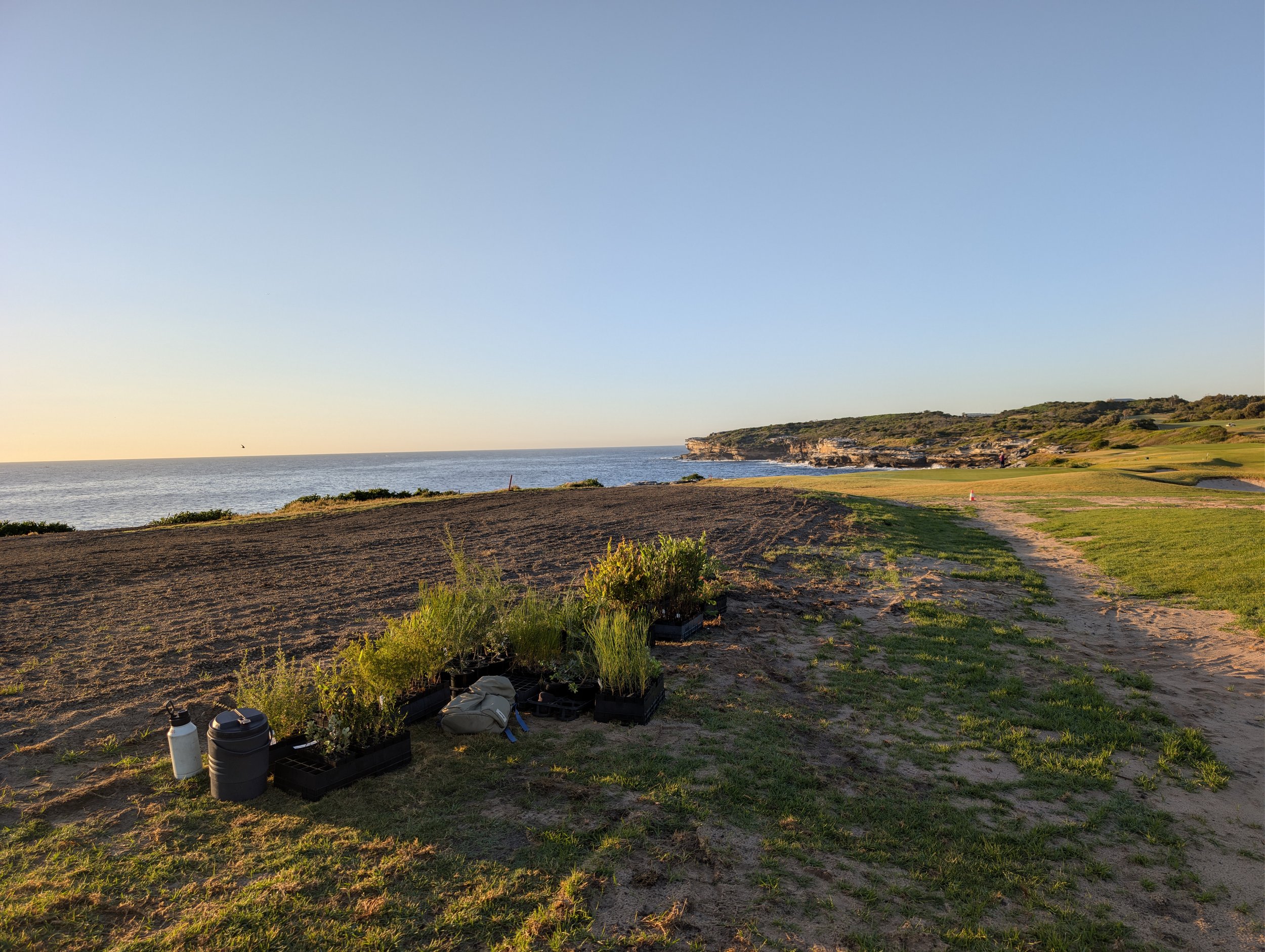 Revegetating in harsh environments