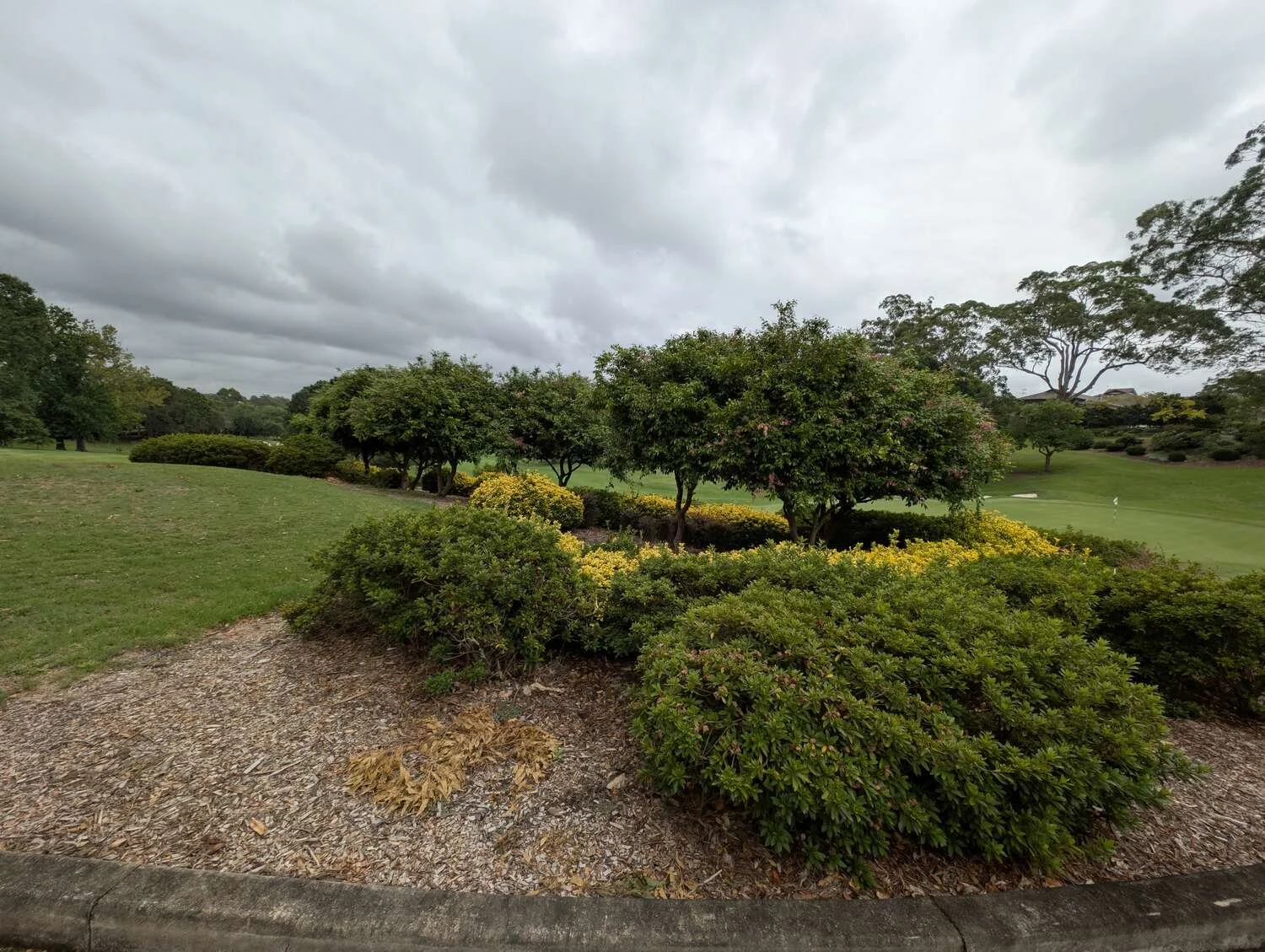 Another unused golf tee 