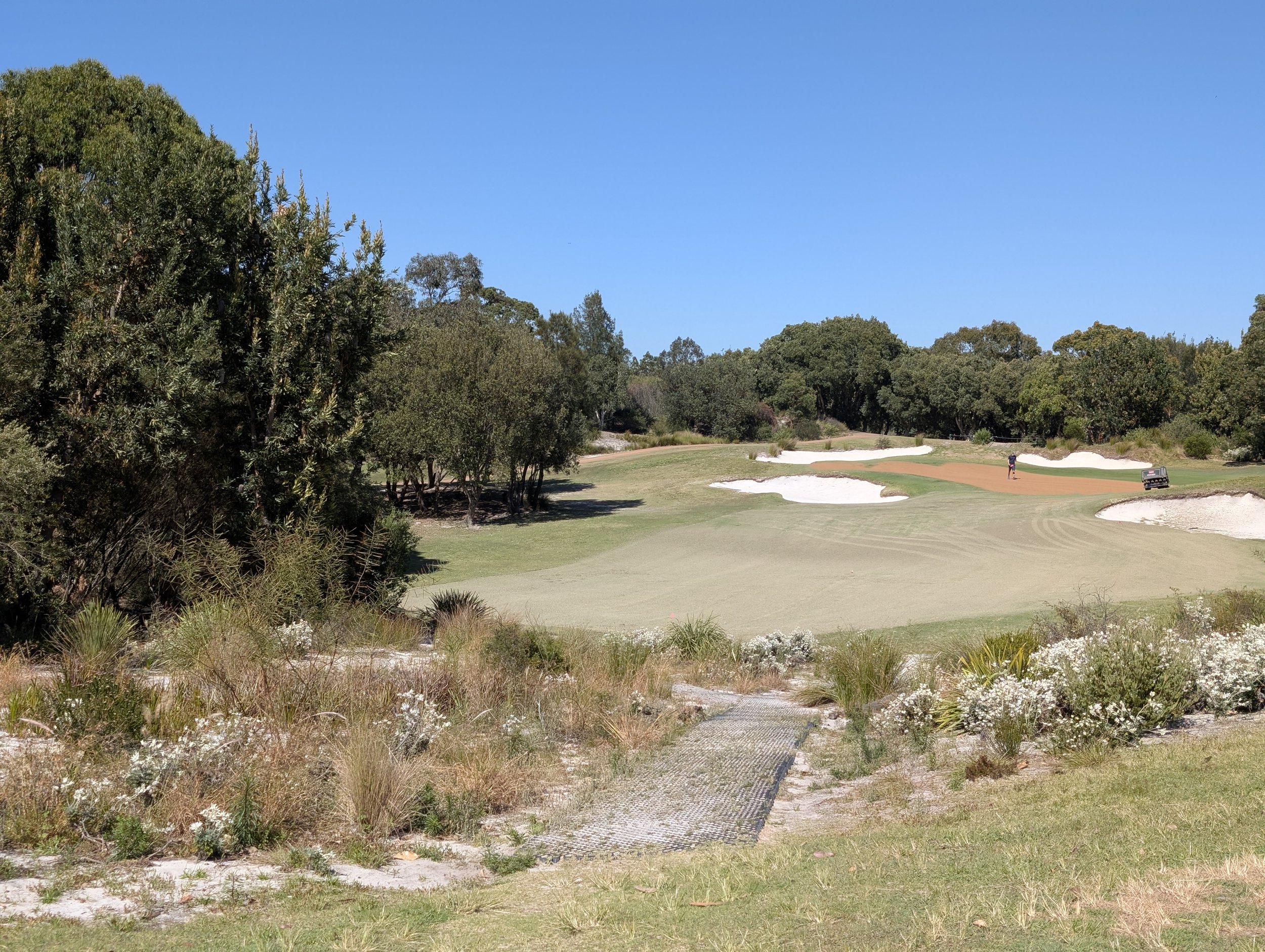 end of vegetation flowering
