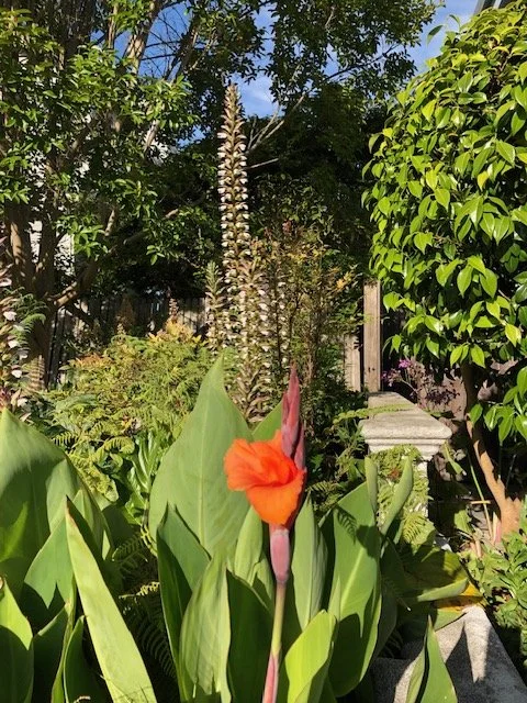 "Borders with Flowers", $100