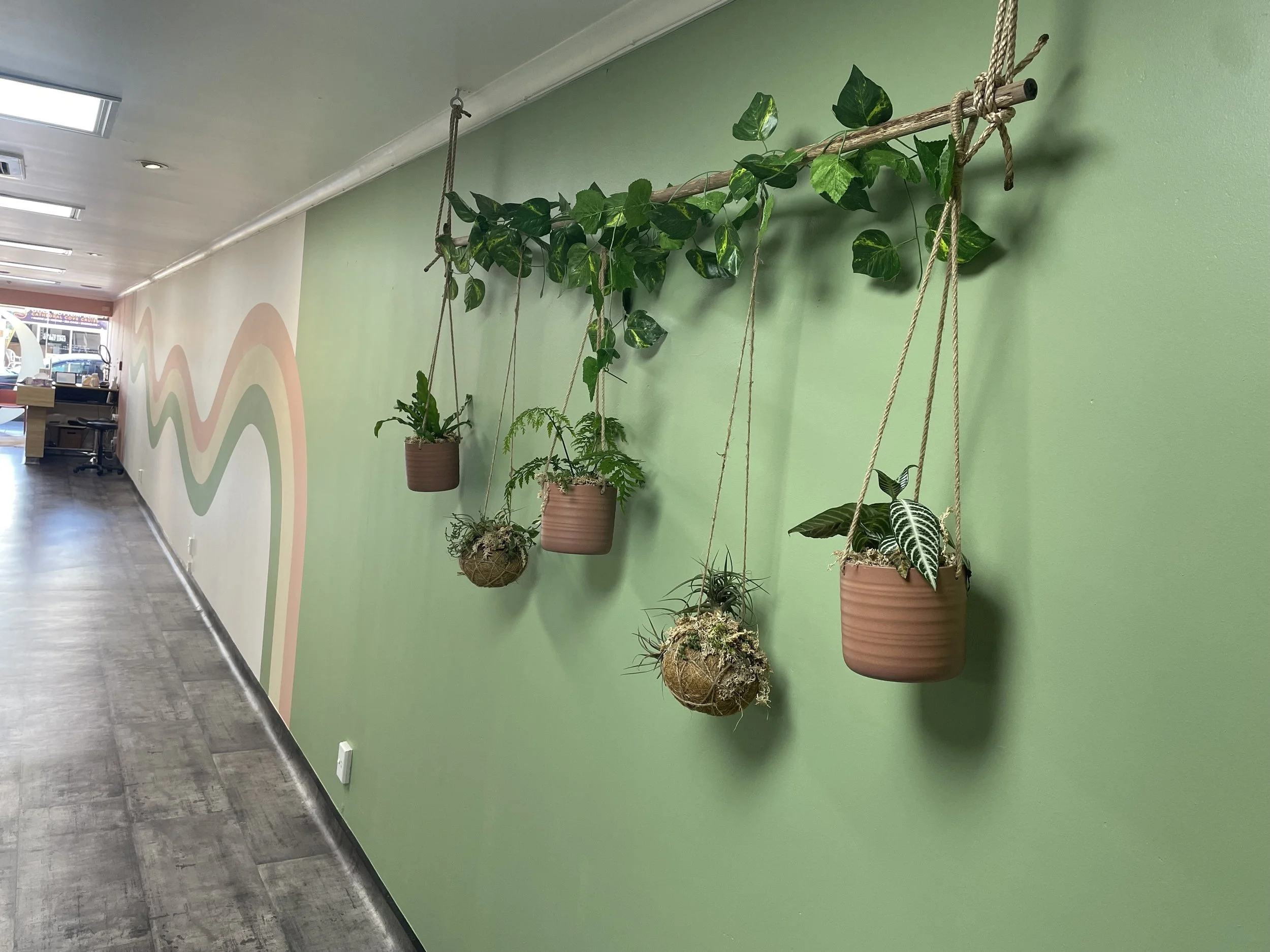 Indoor wall with hanging potted plants attached to a wooden rod with ropes, placed against a green wall, with a segment of a colorful painted mural and office area visible in the background.