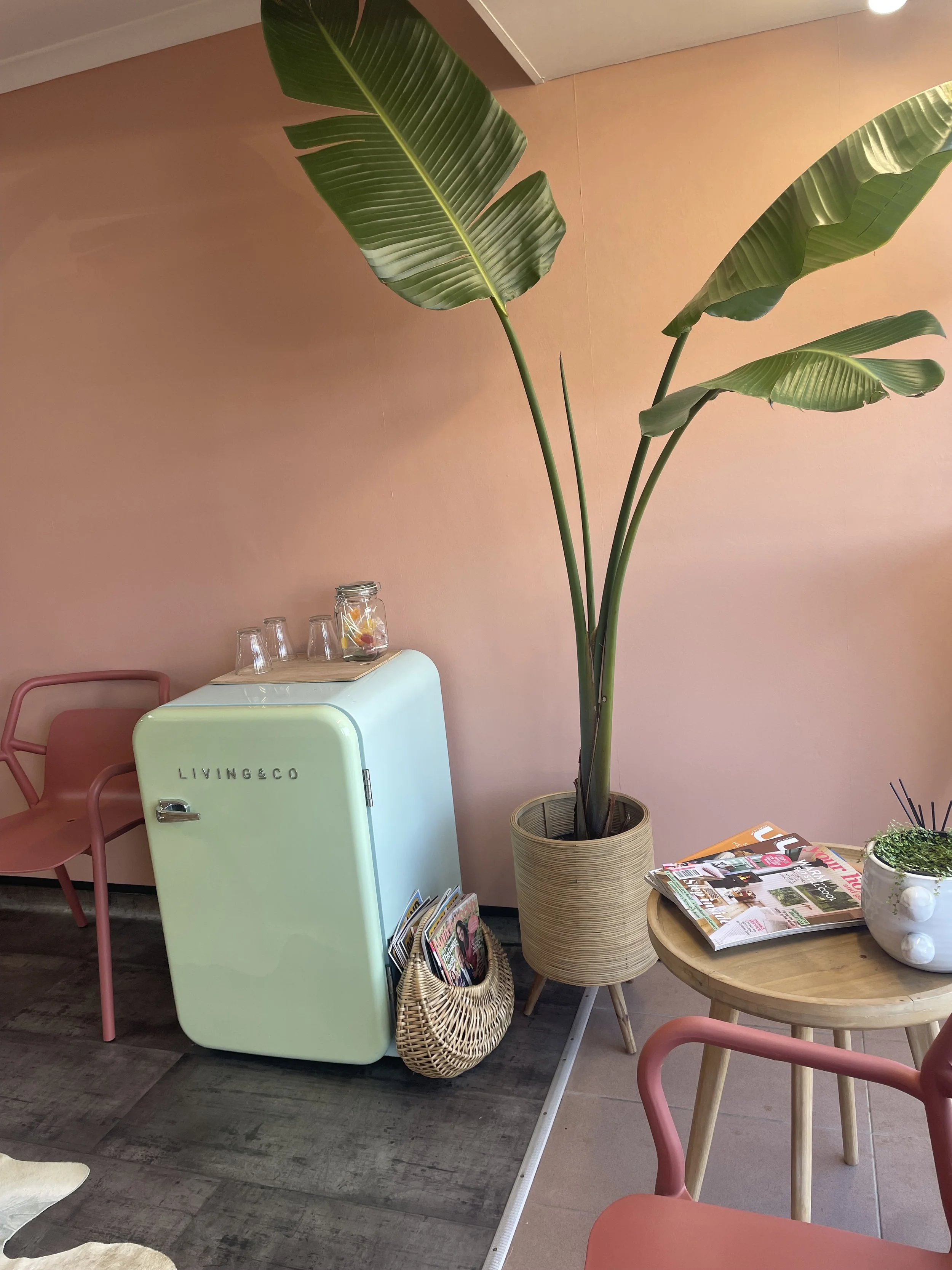 A large potted plant with wide green leaves is in a cozy café with pink walls. There is a pastel green mini fridge with the word 'LIVING&CO' on it, beside a small wicker basket filled with magazines. On a wooden round table, there are magazines and a