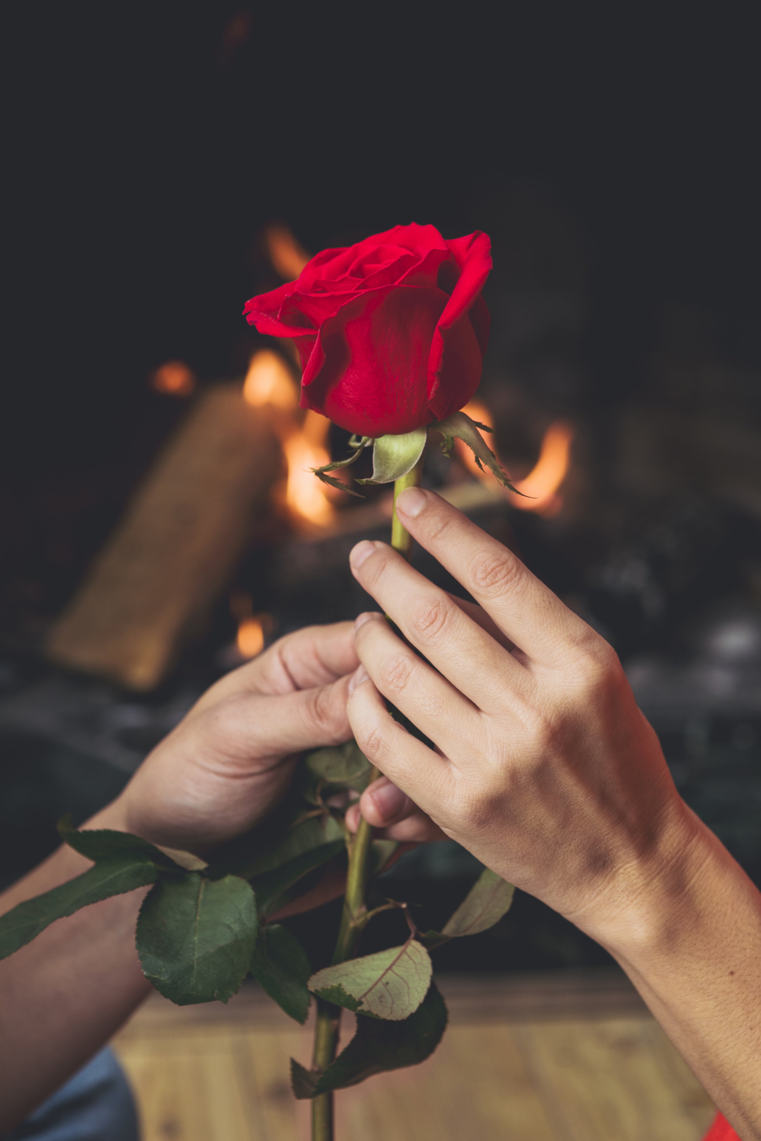 Hands holding a red rose in front of a lit fireplace.