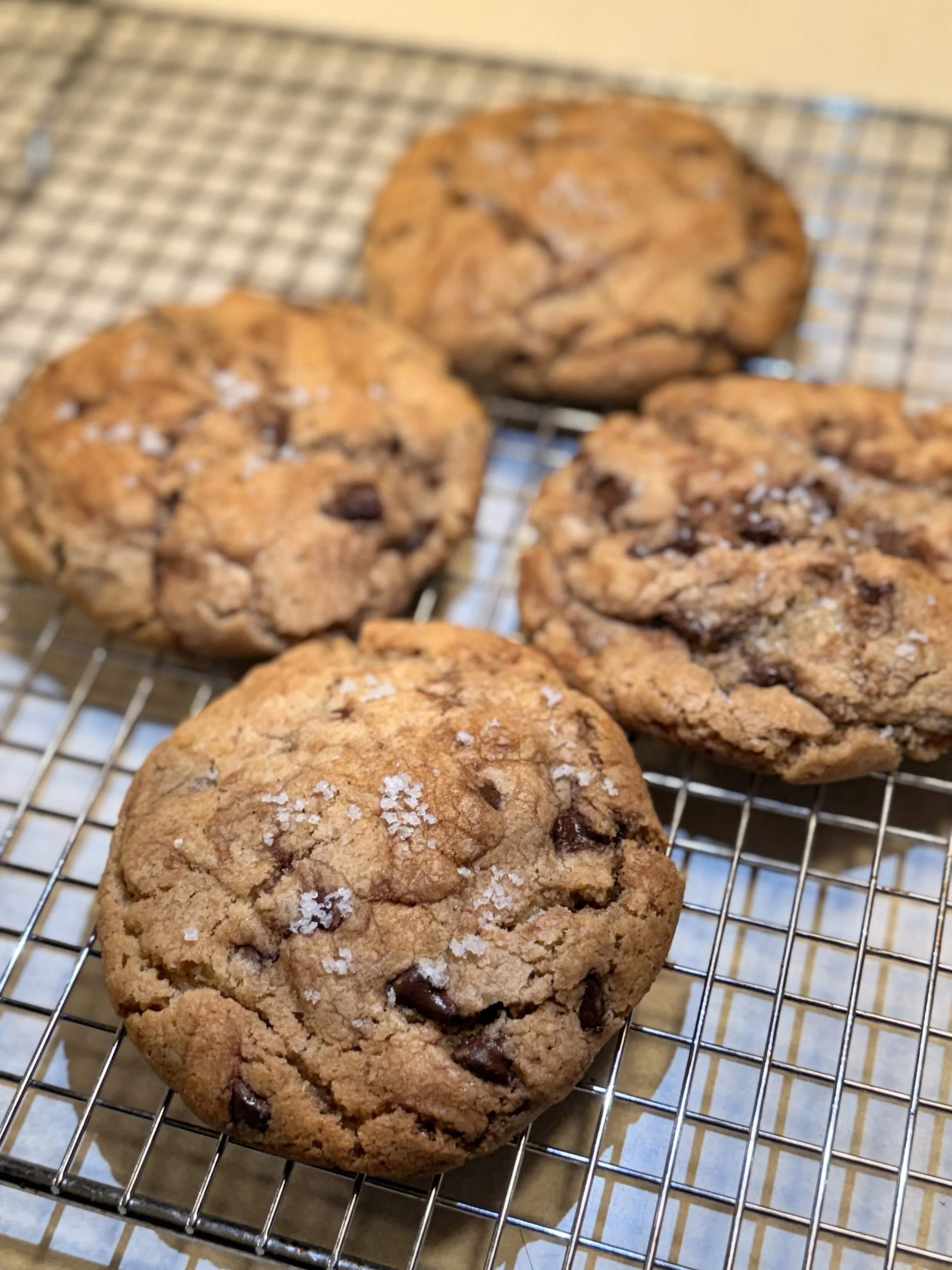 Gooey Chocolate Chip Cookie