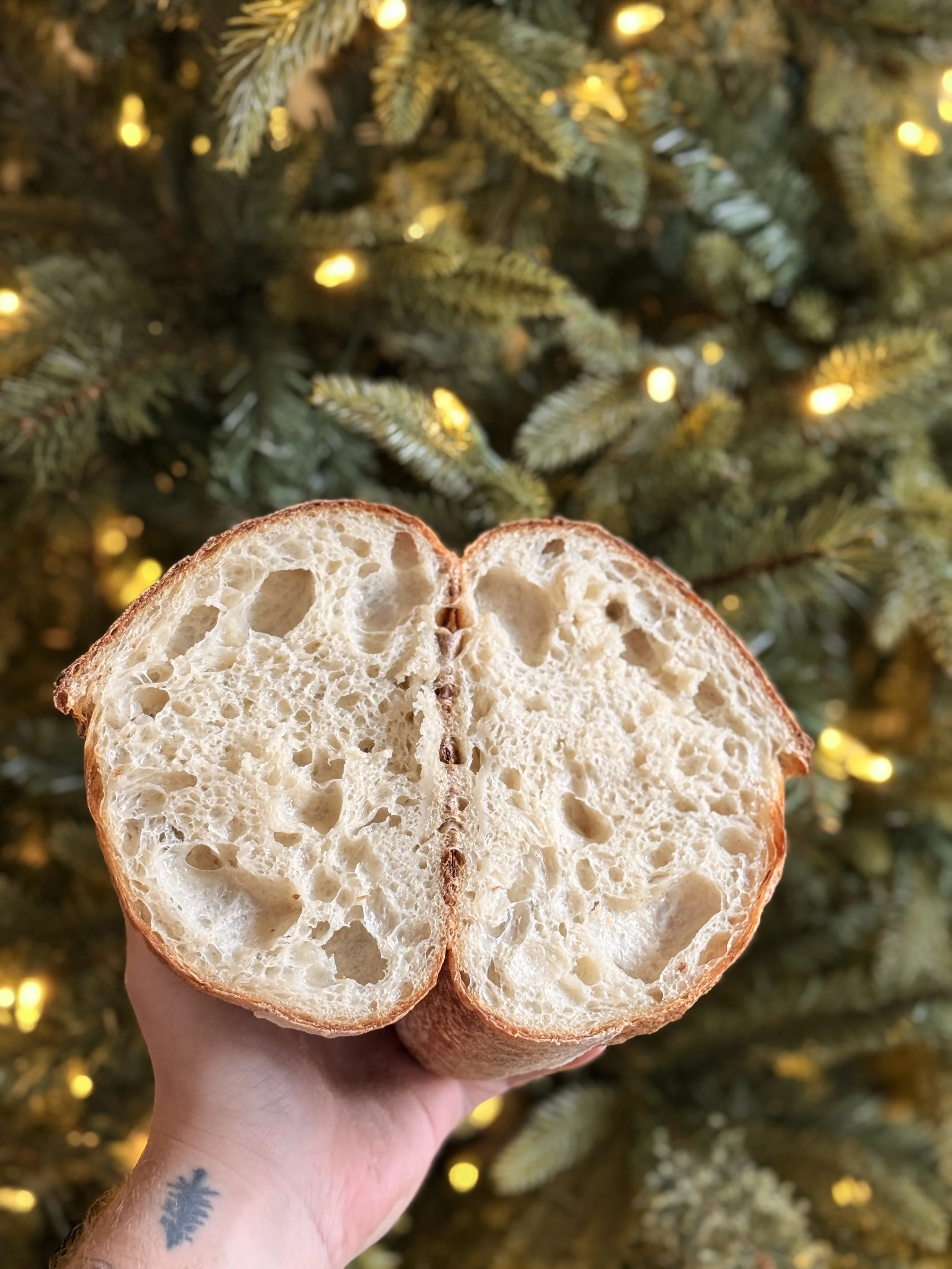 Sourdough Loaf