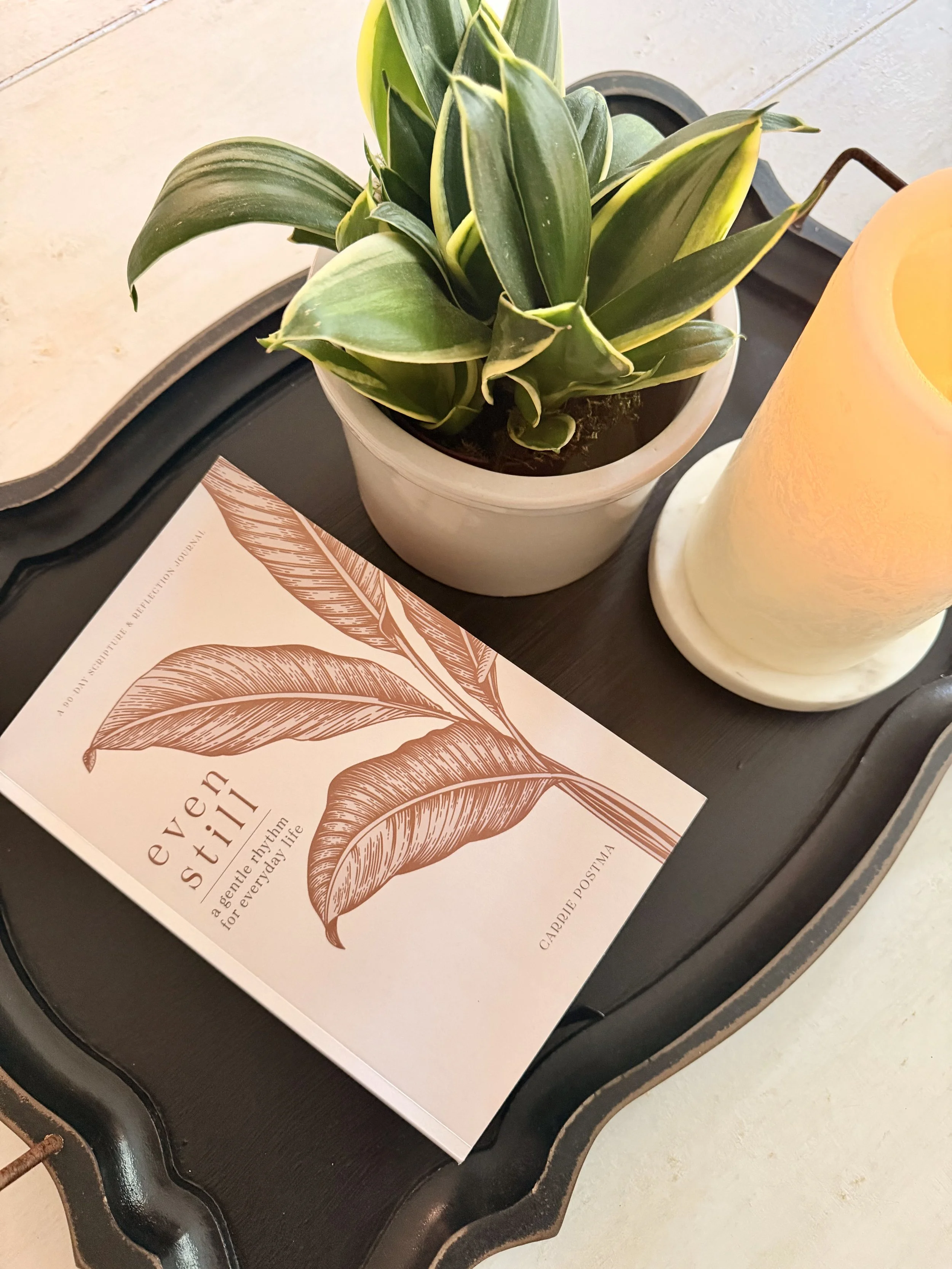 A potted green plant with variegated leaves sits on a black tray next to a yellow candle and a printed pamphlet with a leaf illustration.