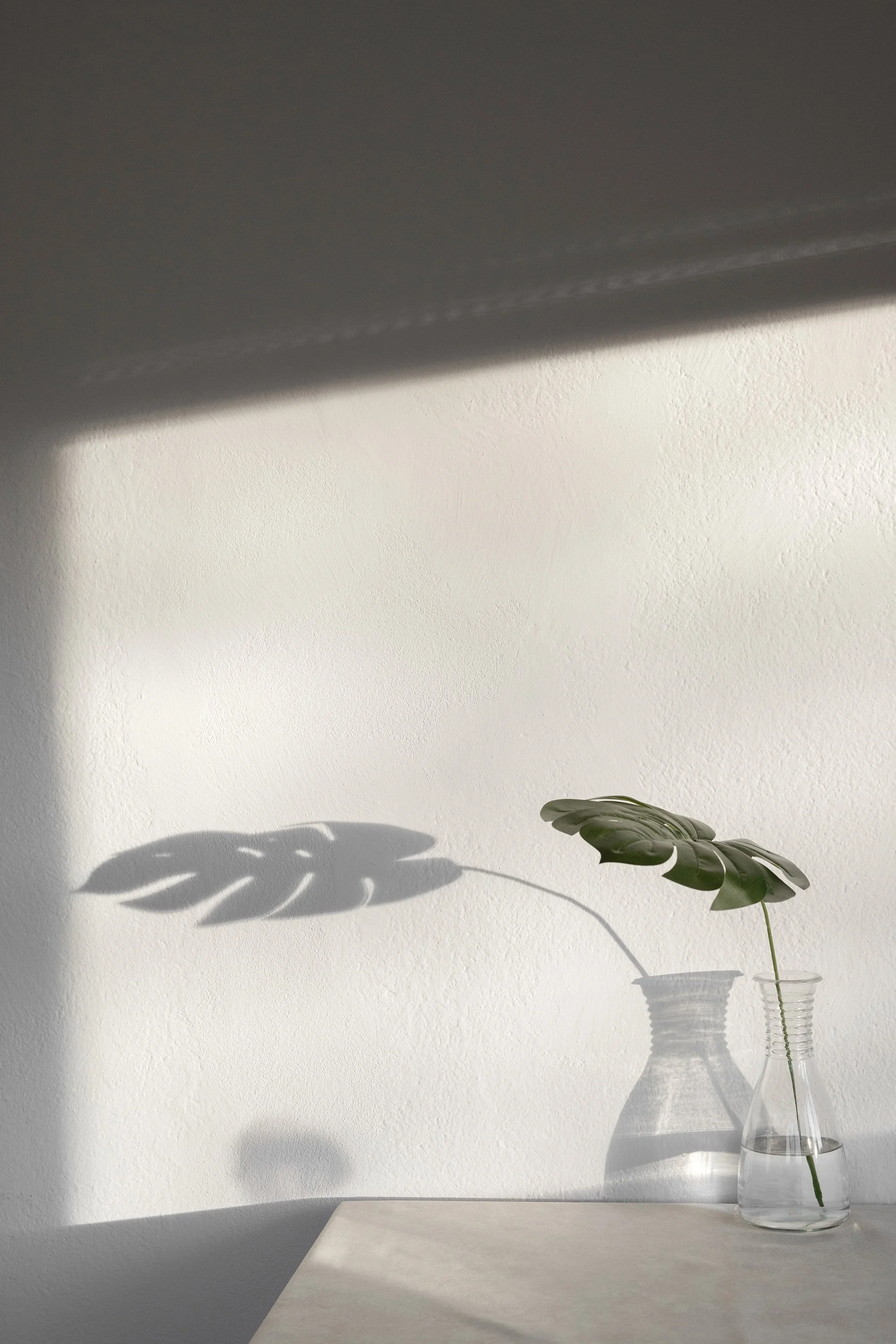A minimalist scene with sunlight casting a shadow of a Monstera leaf and stem on a white wall, with two clear glass vases holding Monstera leaves on a white surface.