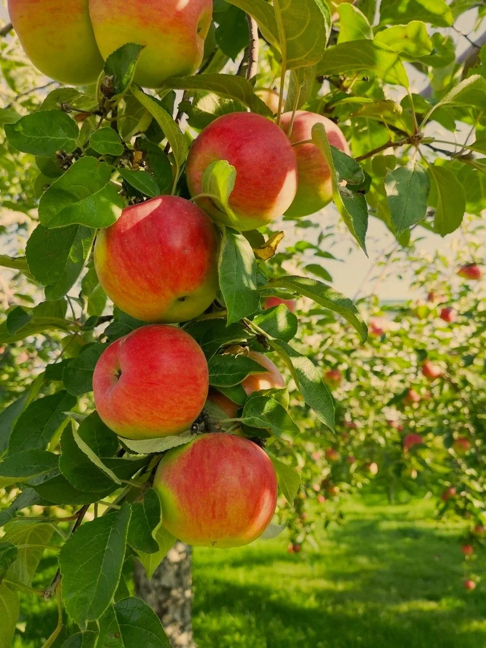 Trusting God, Not People