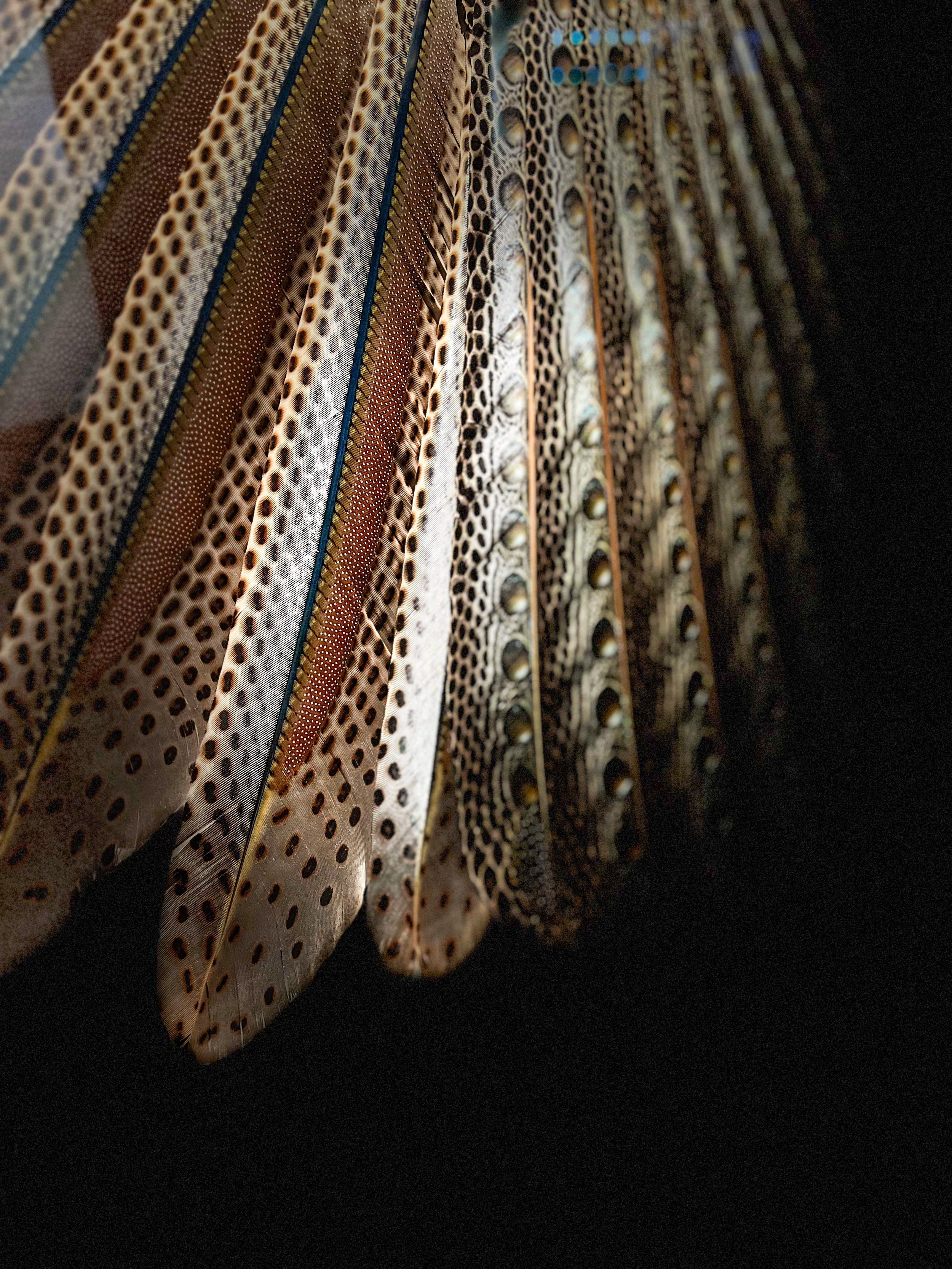 0BD267BB-0C49-49D3-8060-9F592C4570EF 2.jpeg