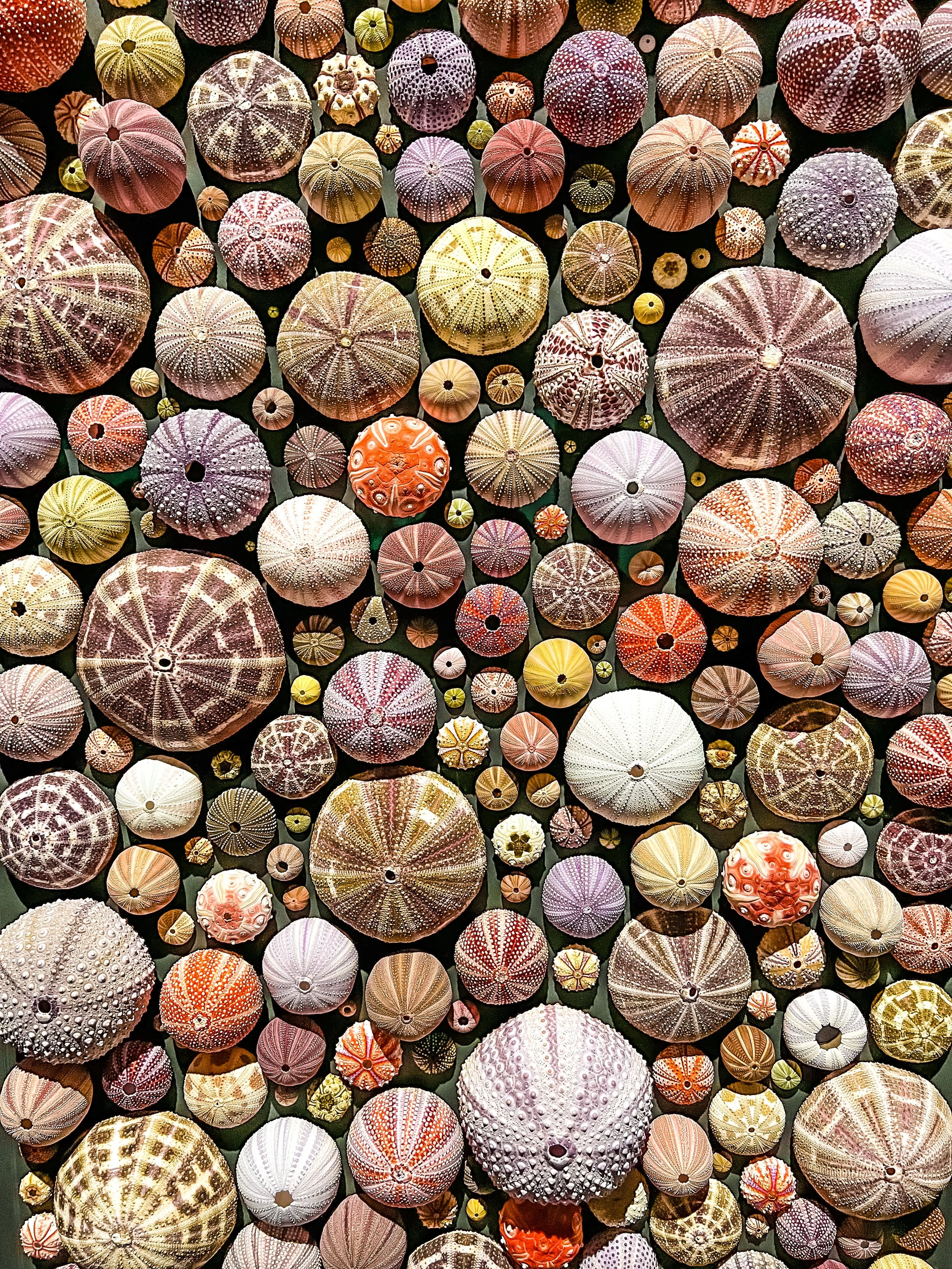 B946D410-A4FA-4EA5-87E8-08ED39A685A8 2.jpeg