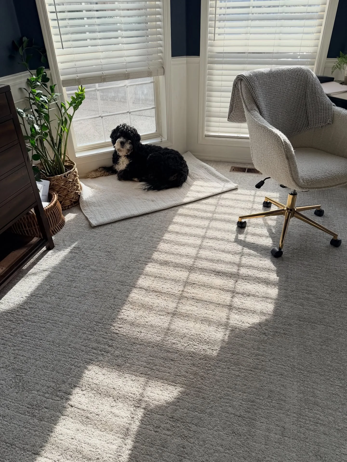 I have been noticing a shift in my intentions for the day. After stepping away from my design business, I&rsquo;m less tethered to my laptop and more grounded in being present.

I find myself wandering through our home, noticing the light, the textur