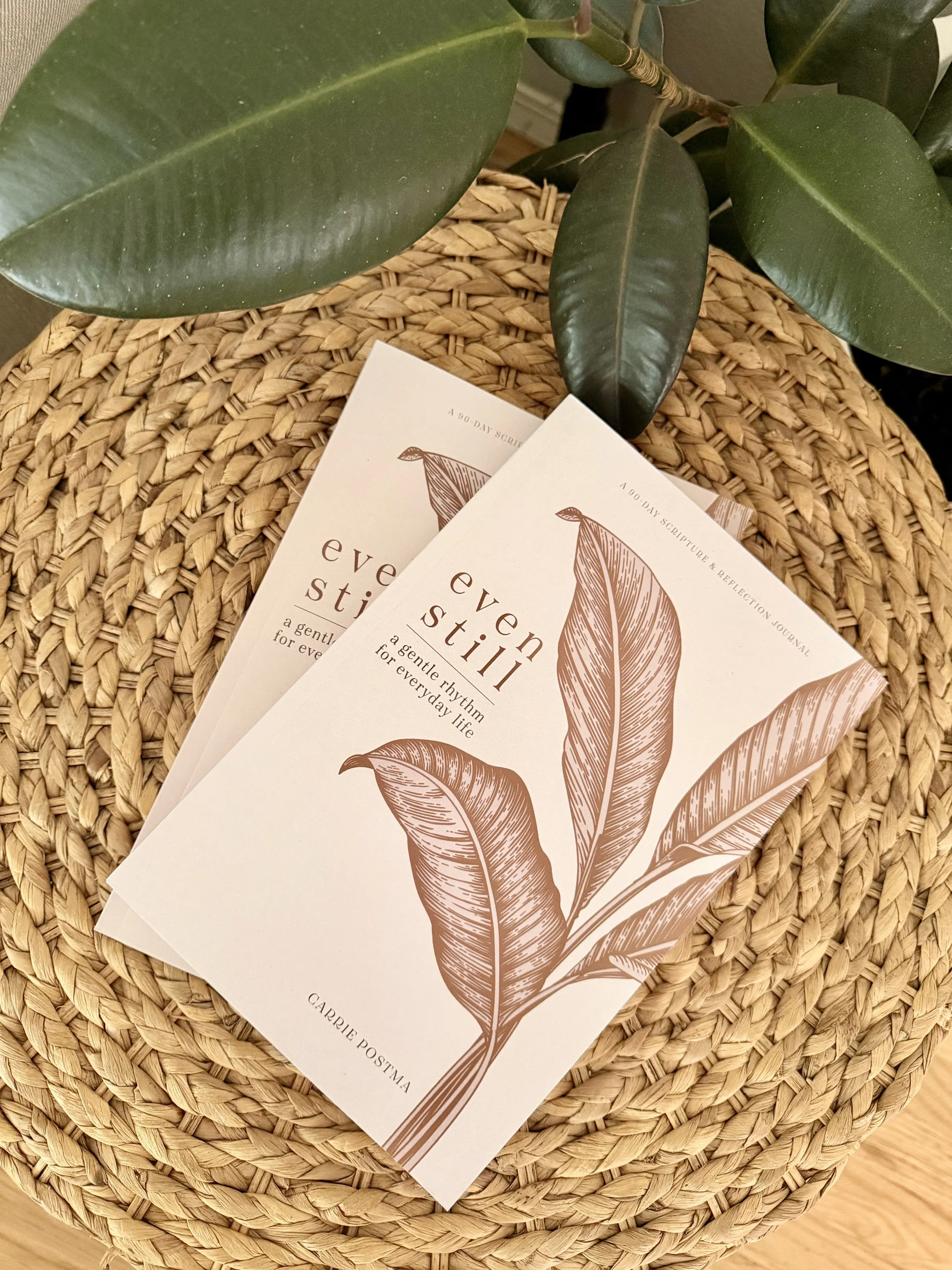 Two printed booklets titled 'Even Stress Still' are placed on a woven circular surface. A leafy green plant is positioned behind the booklets.