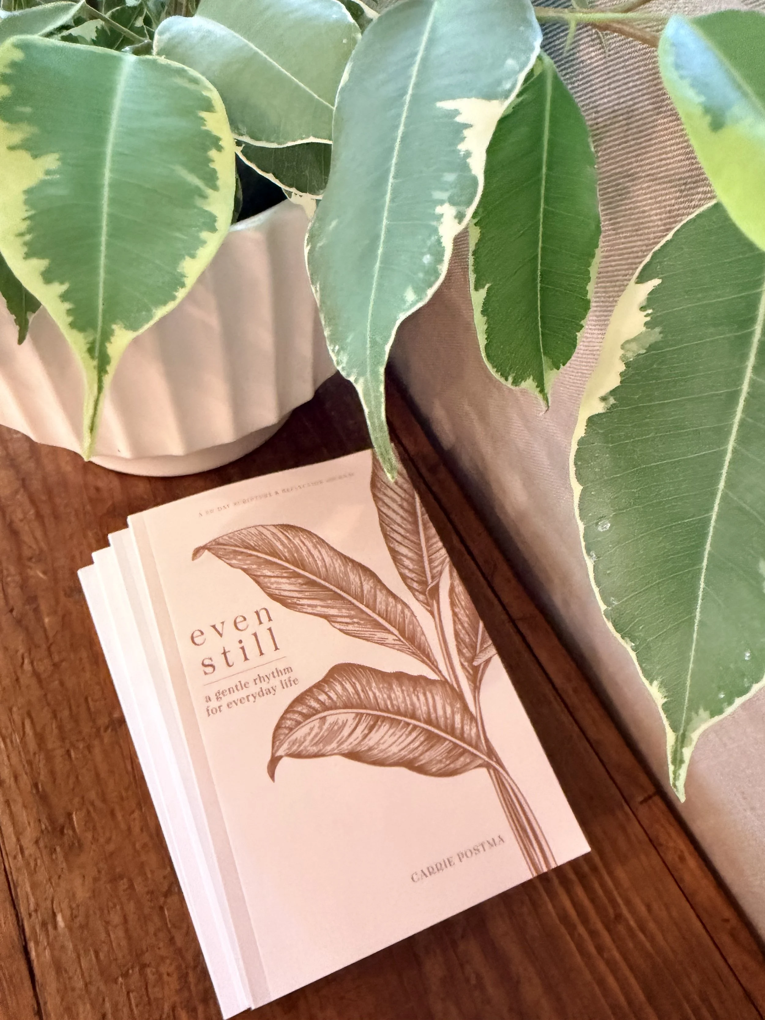 A potted variegated foliage plant with large green and cream-colored leaves, placed on a wooden surface next to a patterned fabric and a book with botanical illustrations of leaves.