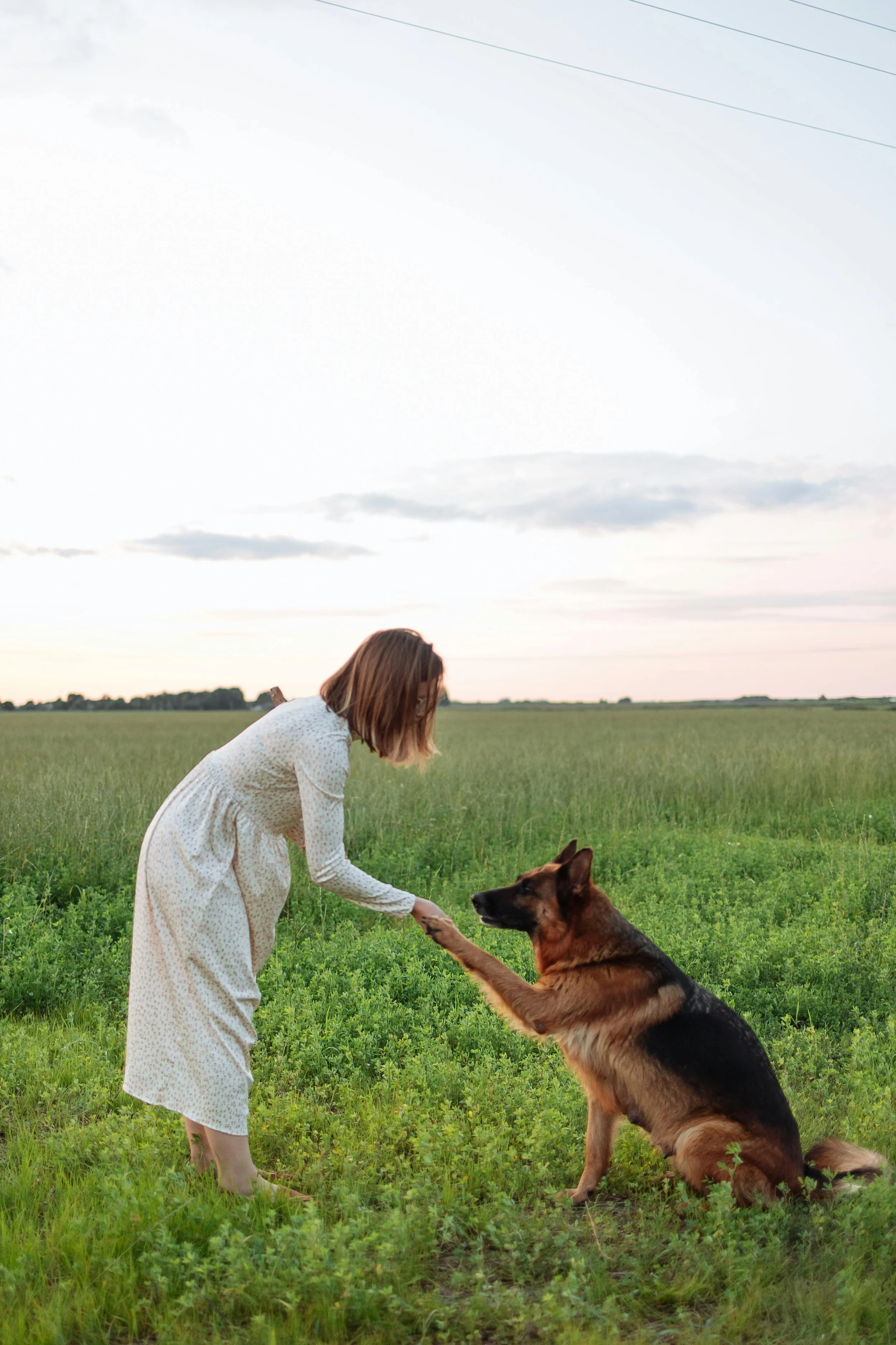 A woman in a white dress with small floral print is shaking hands with a German Shepherd dog in a green field at sunset.