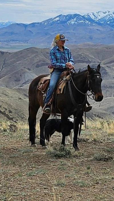 A woman riding a black horse in a mountainous landscape with snow-capped peaks in the background. She is wearing a plaid shirt, jeans, and a yellow cap with goggles, accompanied by a black and white dog standing by the horse's front leg.
