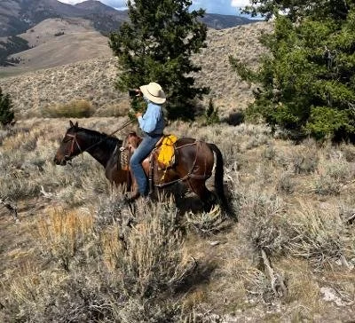 Person riding a horse through a dry, grassy landscape with trees and mountains in the background.