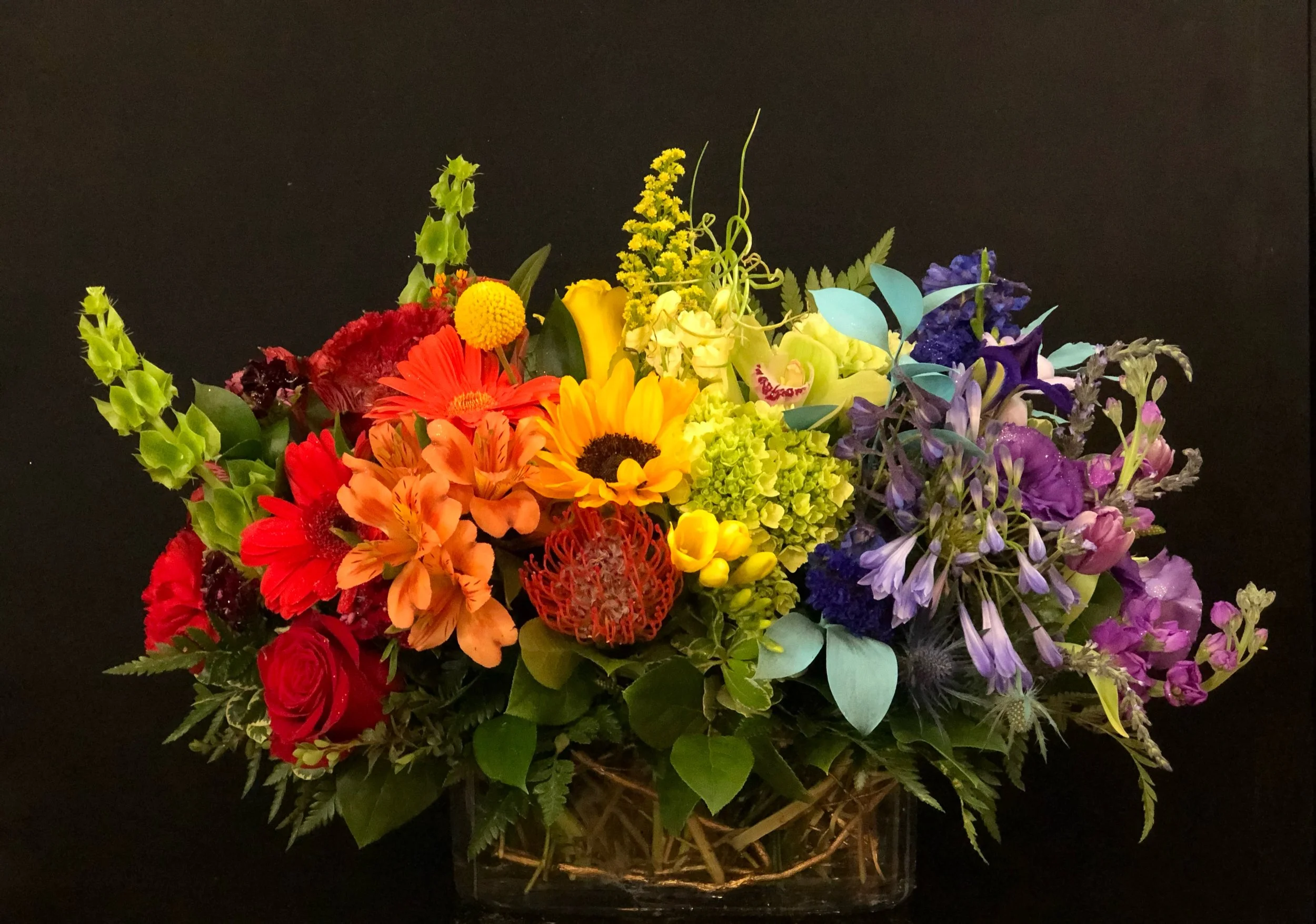 Rainbow Magic $159.99