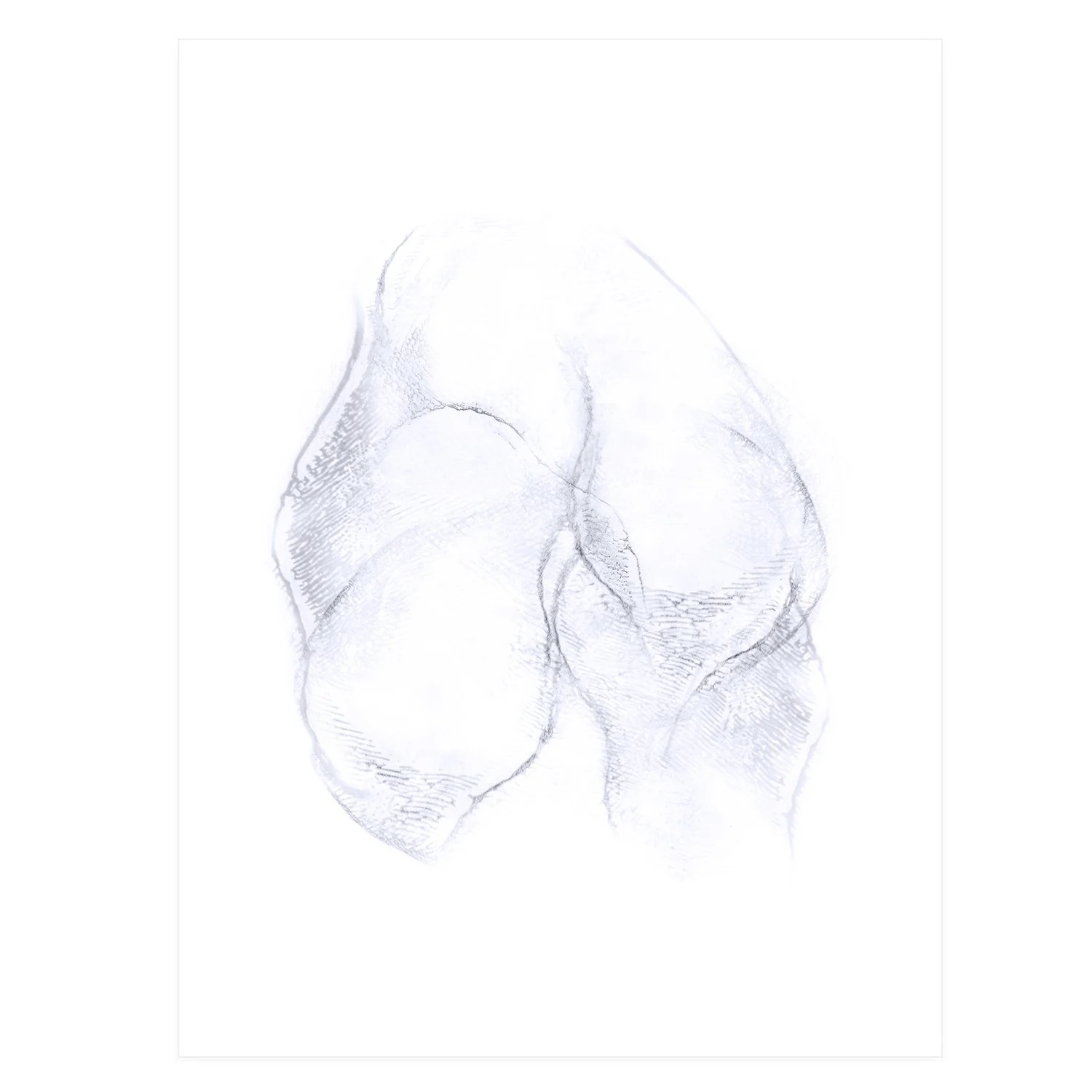 Bones as Flesh Series