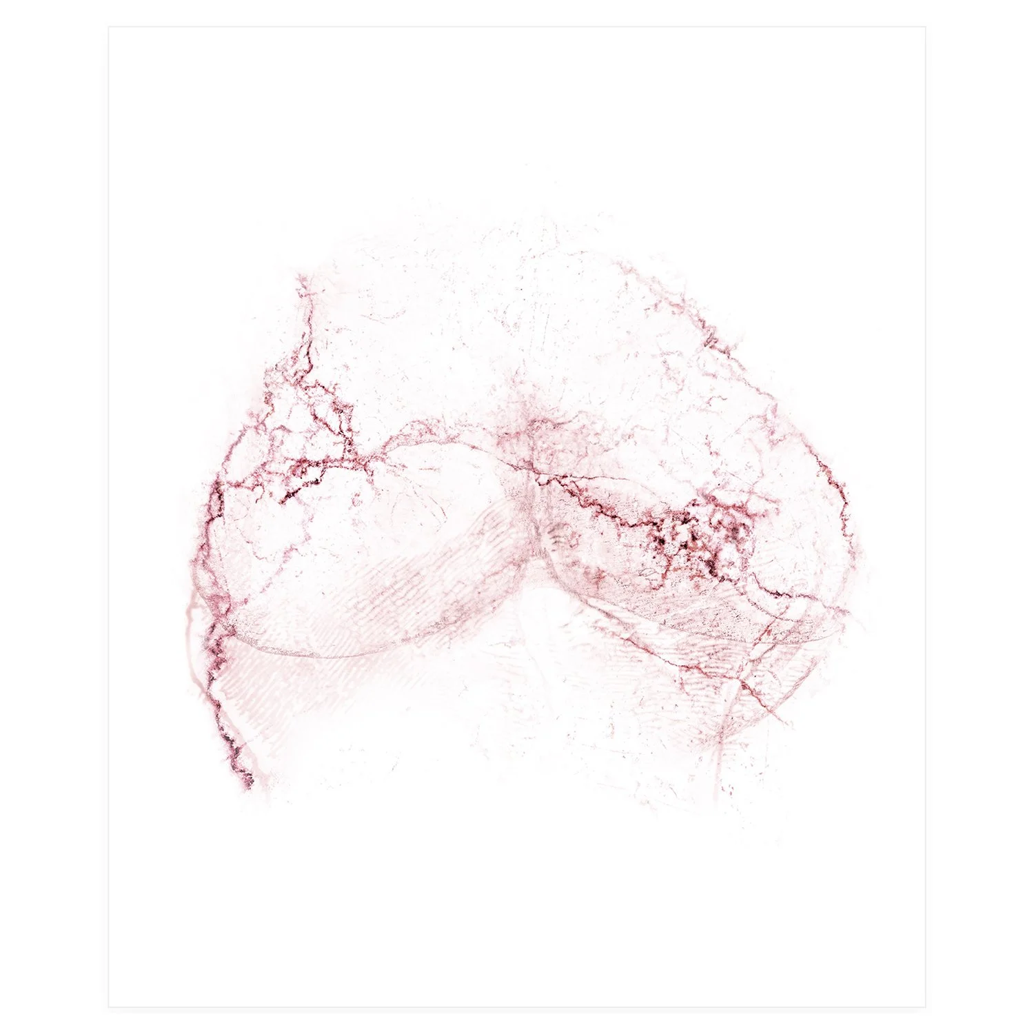 Digital Twins: Bones as Flesh Series