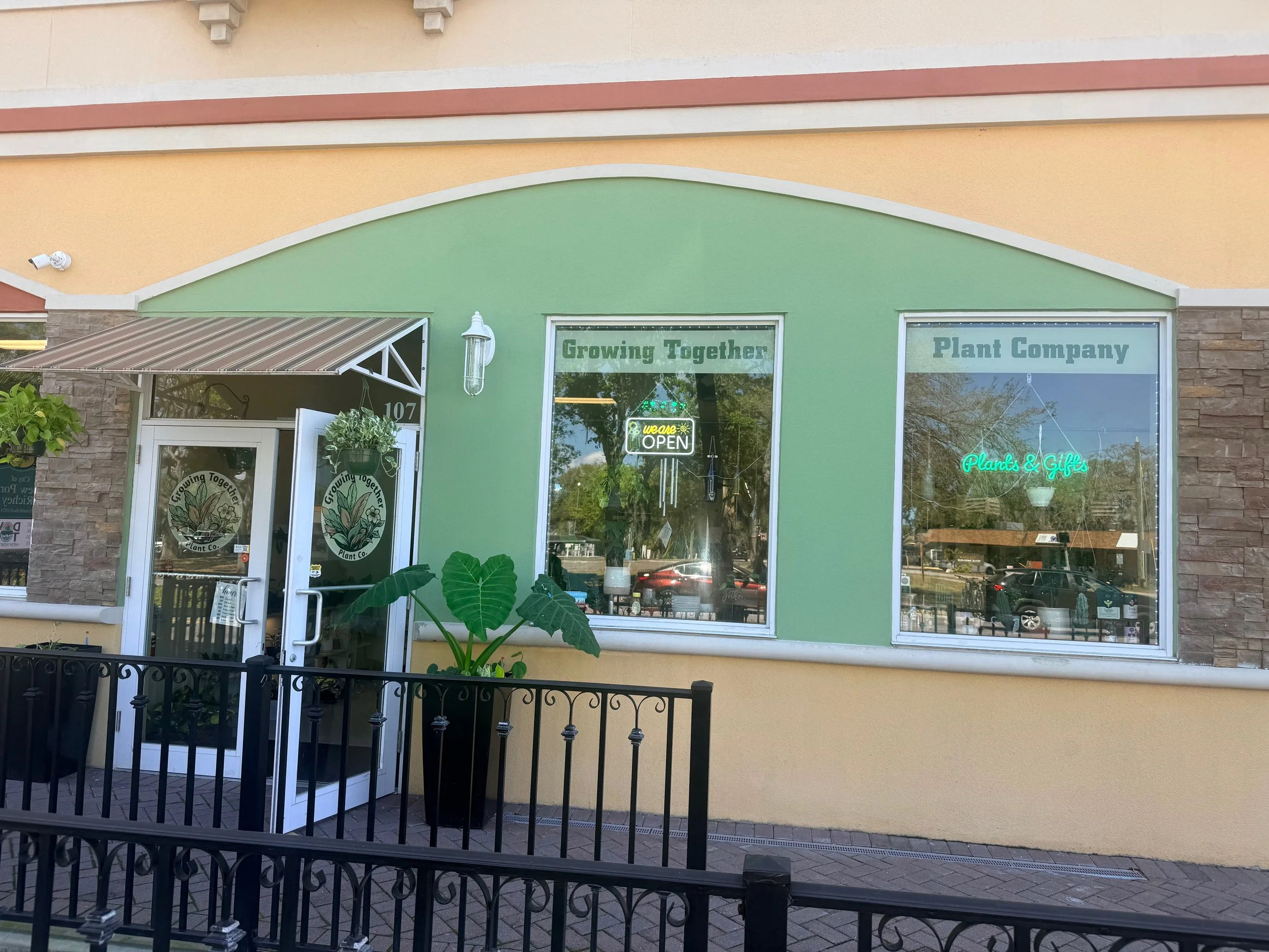 The One Plant Tip I Wish I Learned Sooner (Thanks to This Downtown New Port Richey Plant Shop)