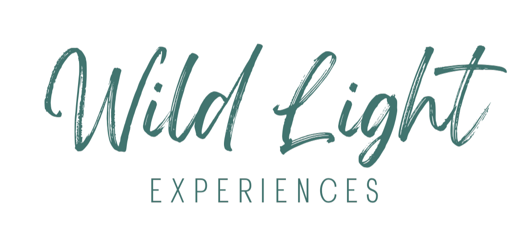Wild Light Experiences