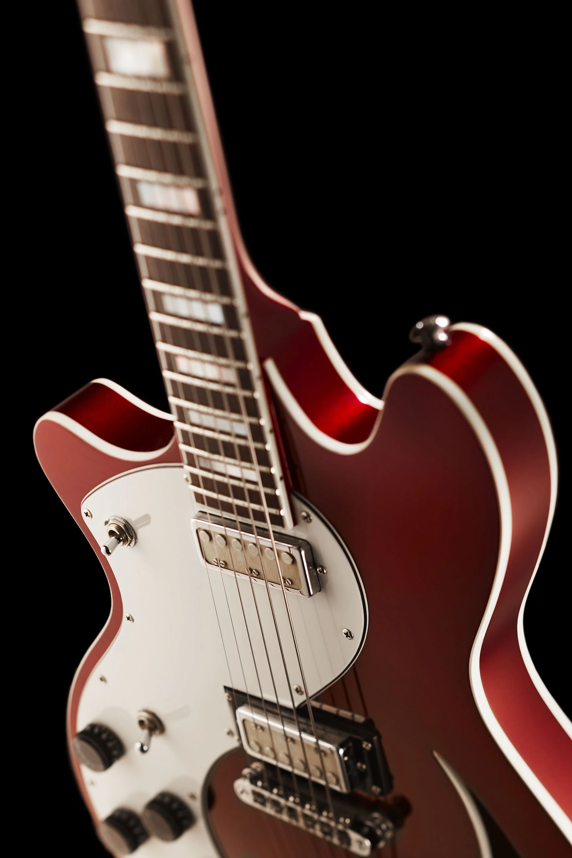 SchecterTSH copy.jpg