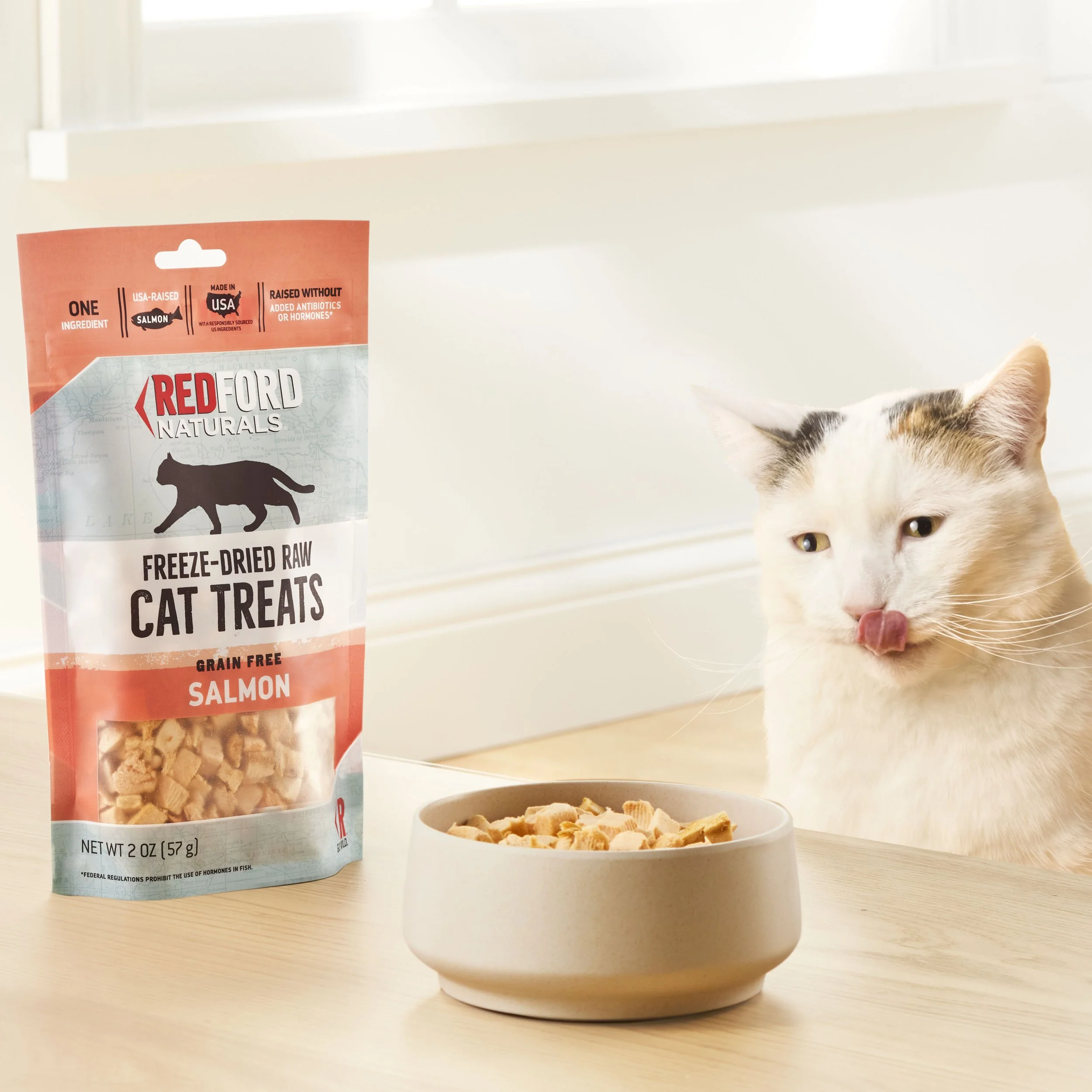 CatTreatsWorkingWithCAt copy.jpg