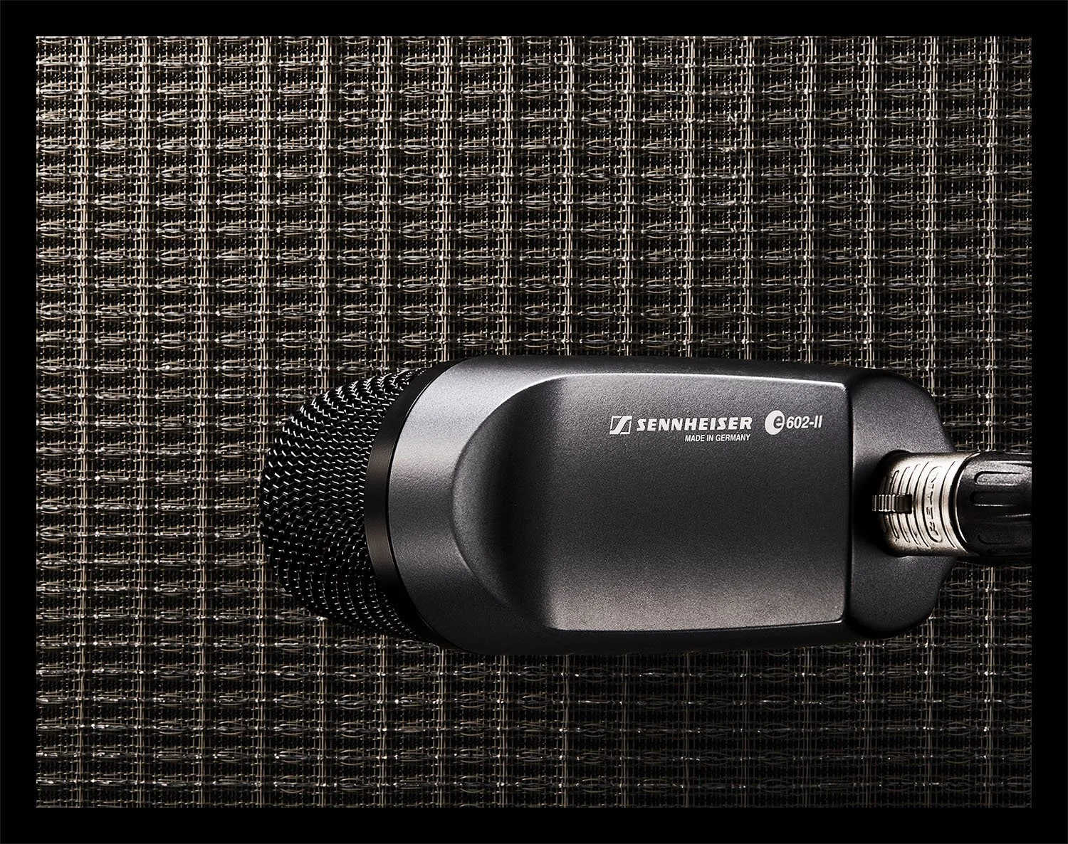 602Mic copy.jpg