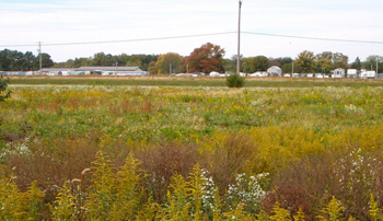 Rural land and infrastructure development feasibility analysis