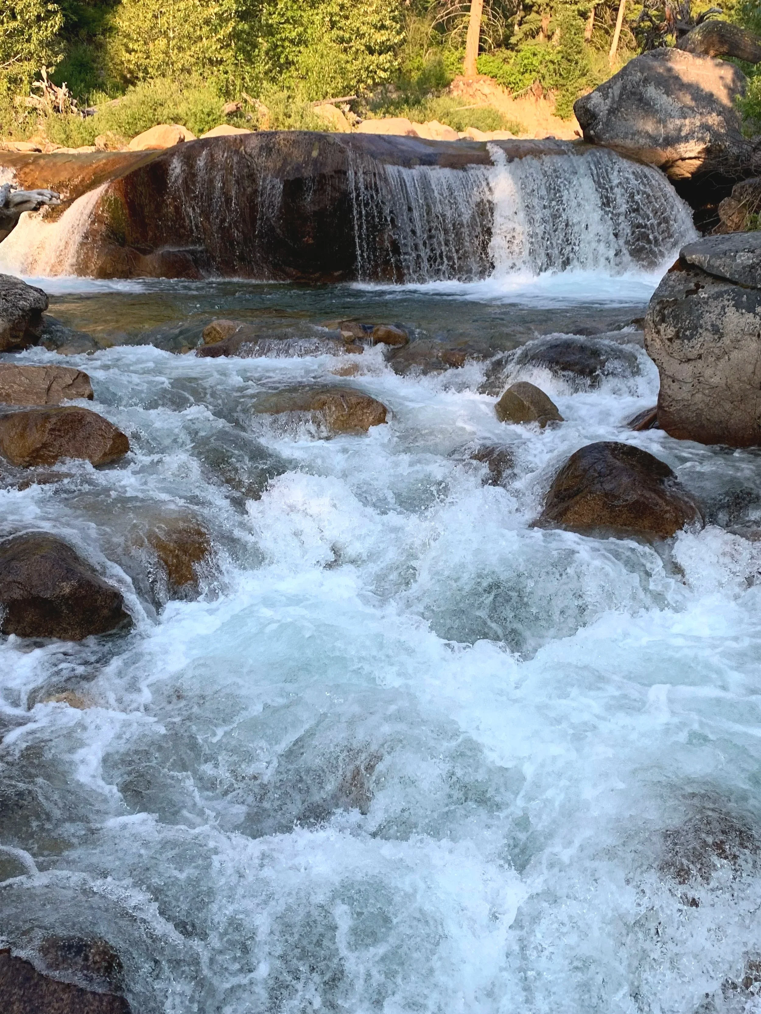 A flowing stream with rocks and a small waterfall in a forested area, sunlight illuminating the scene.
