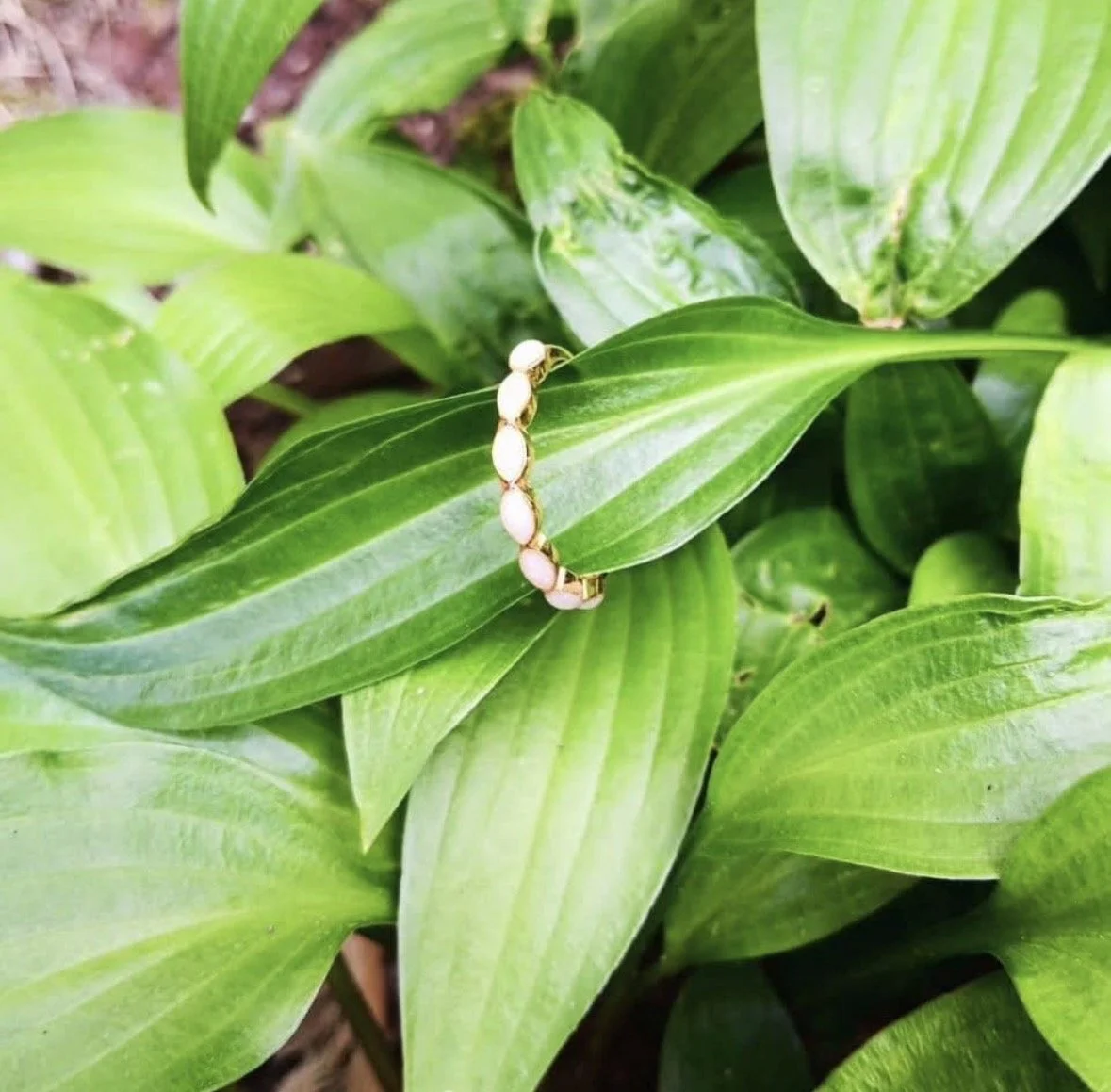Wrapped In Love ring (.925 Silver)