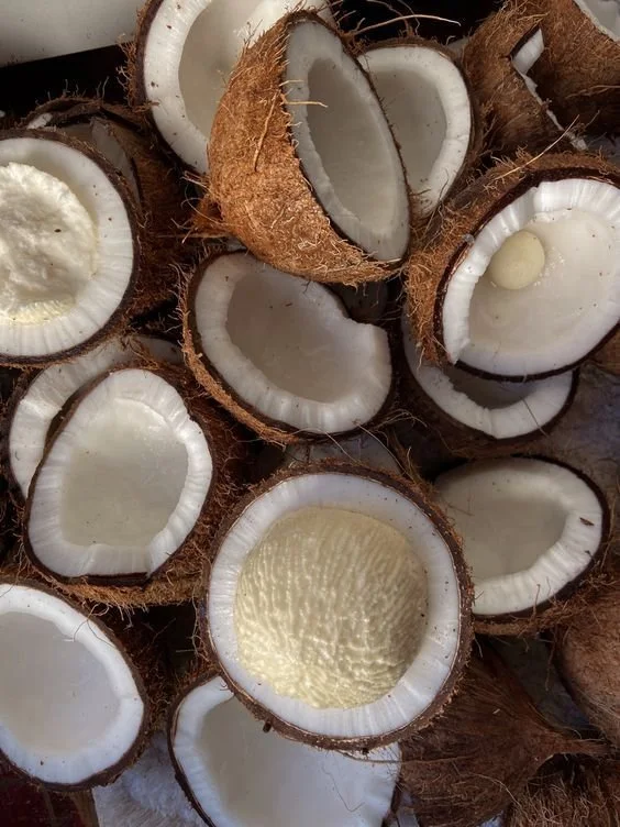 Kembali