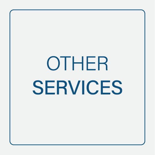 Sign with blue text that reads "OTHER SERVICES" on a white background with a thin blue border.