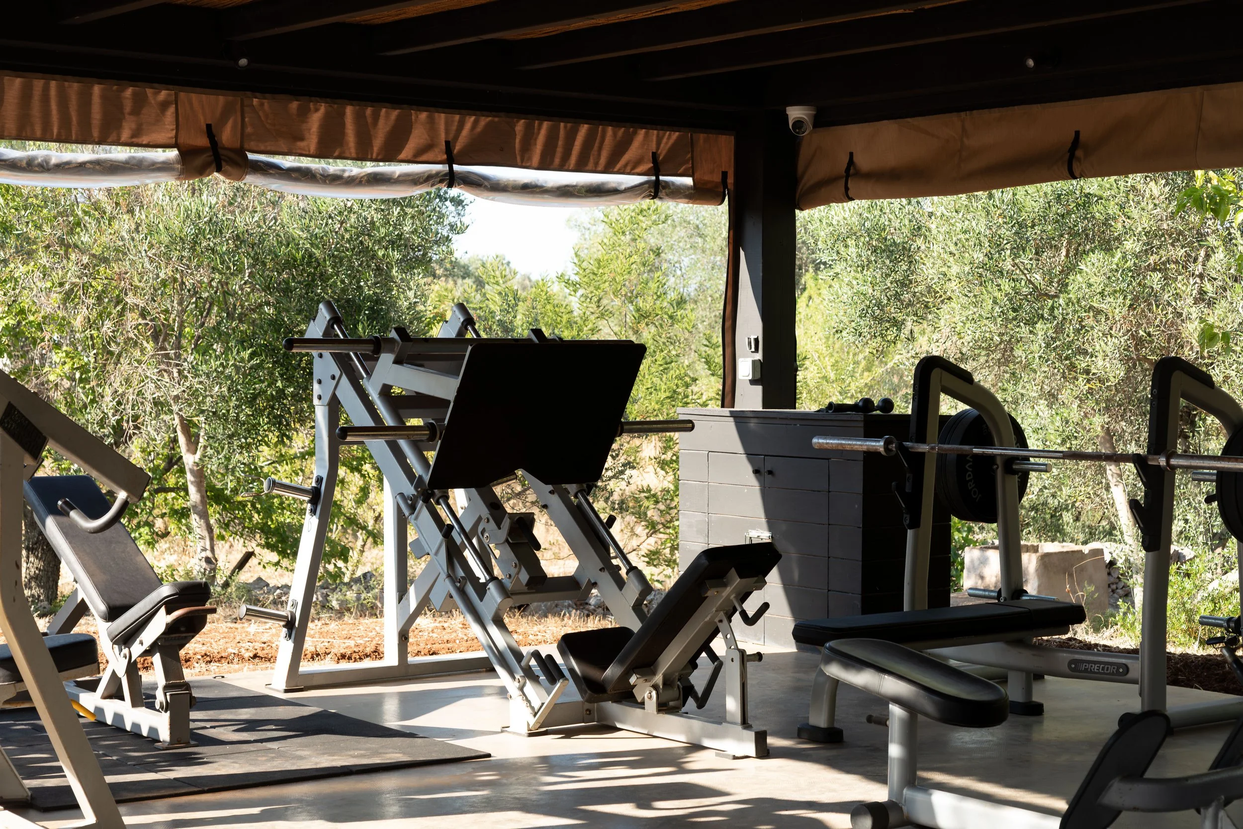 Indoor gym with weightlifting equipment including a squat rack, bench, and weight plates, with outdoor greenery visible through large open windows.