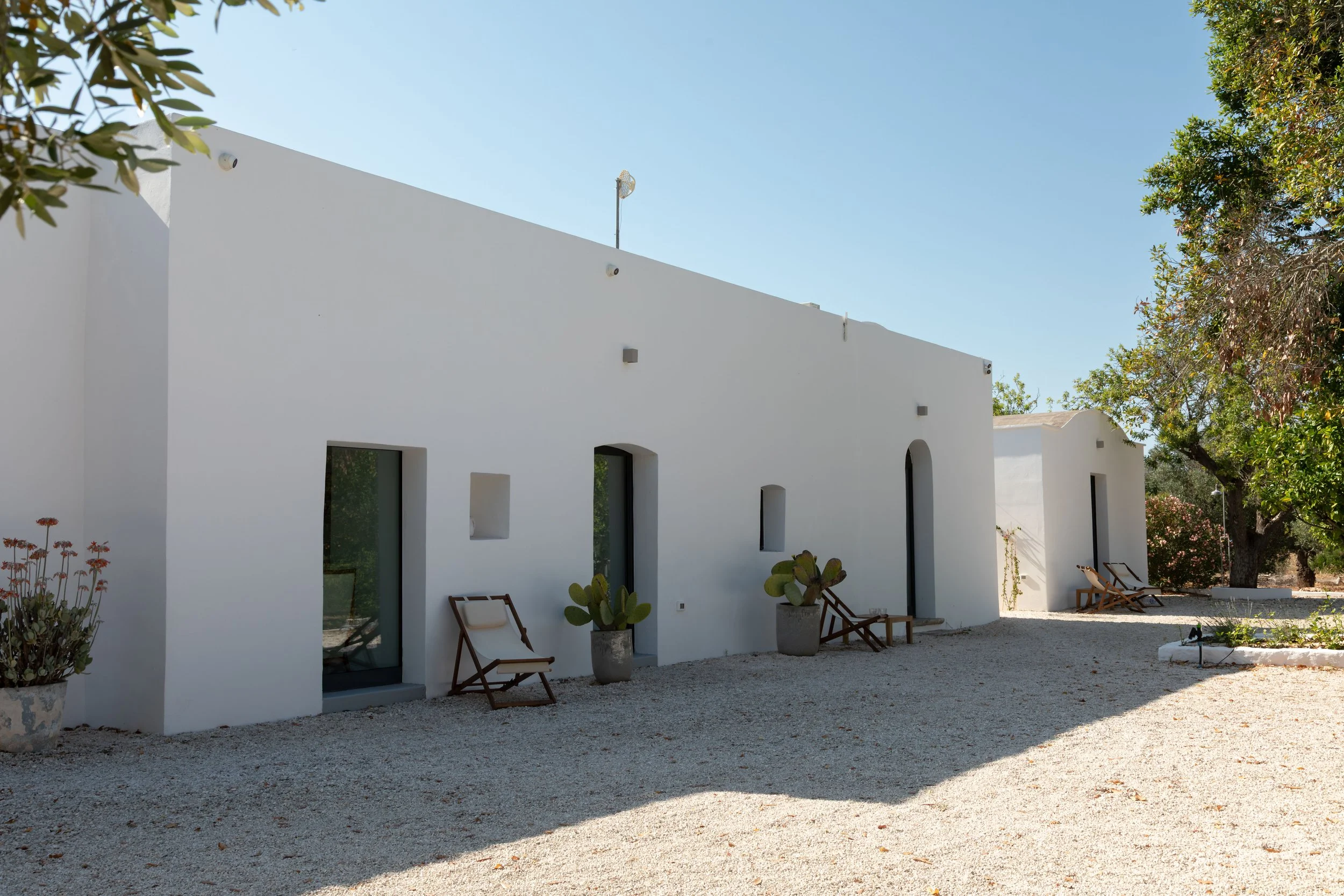 White minimalist building with outdoor chairs and potted cacti on gravel ground, surrounded by trees under a clear blue sky.