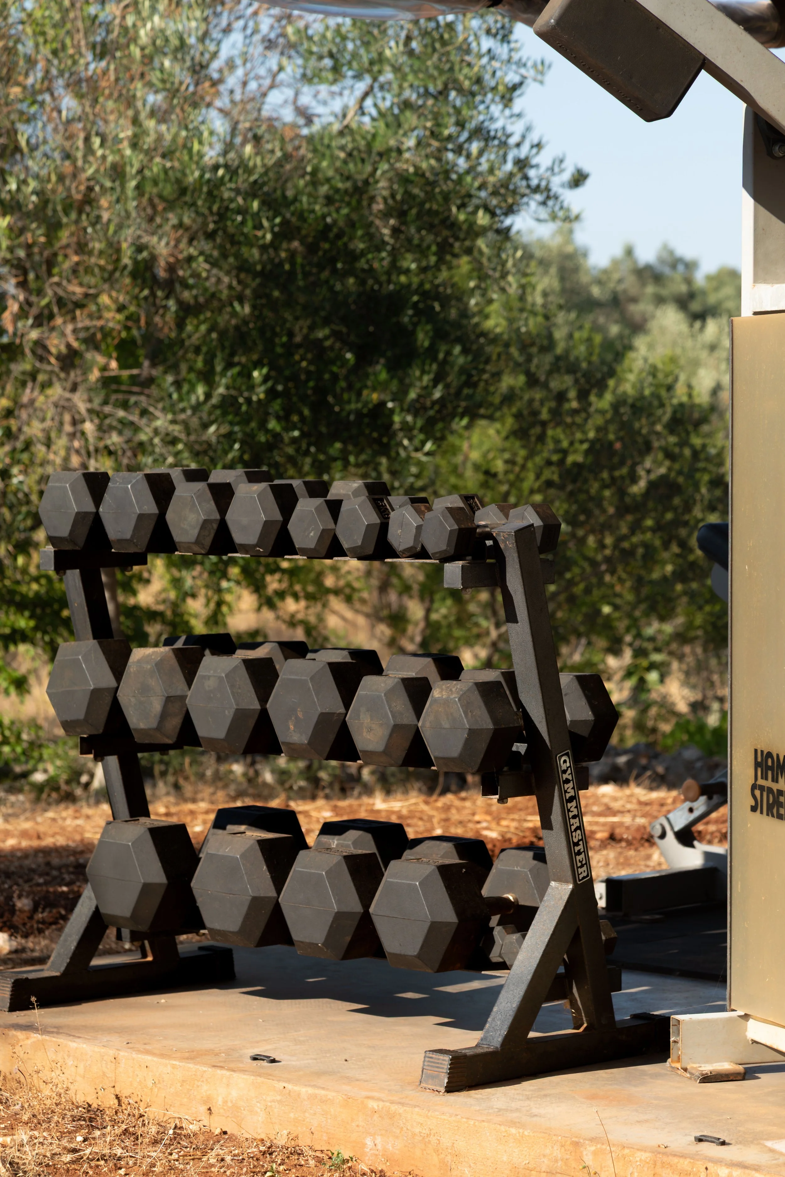 A set of gray dumbbells on a black rack outdoors, with trees and bushes in the background.