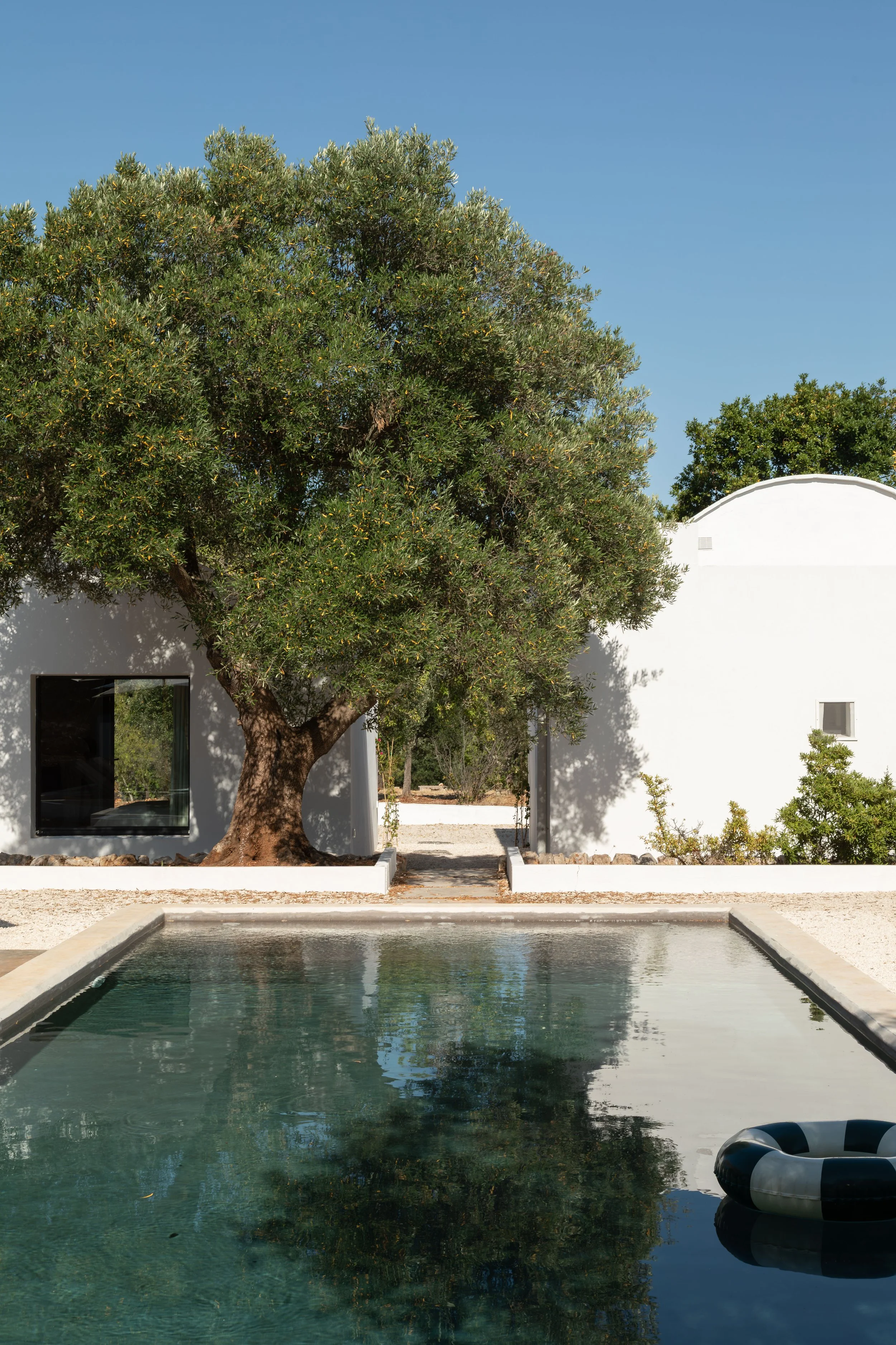 A modern white house with a large tree and a swimming pool in the backyard under a clear blue sky.