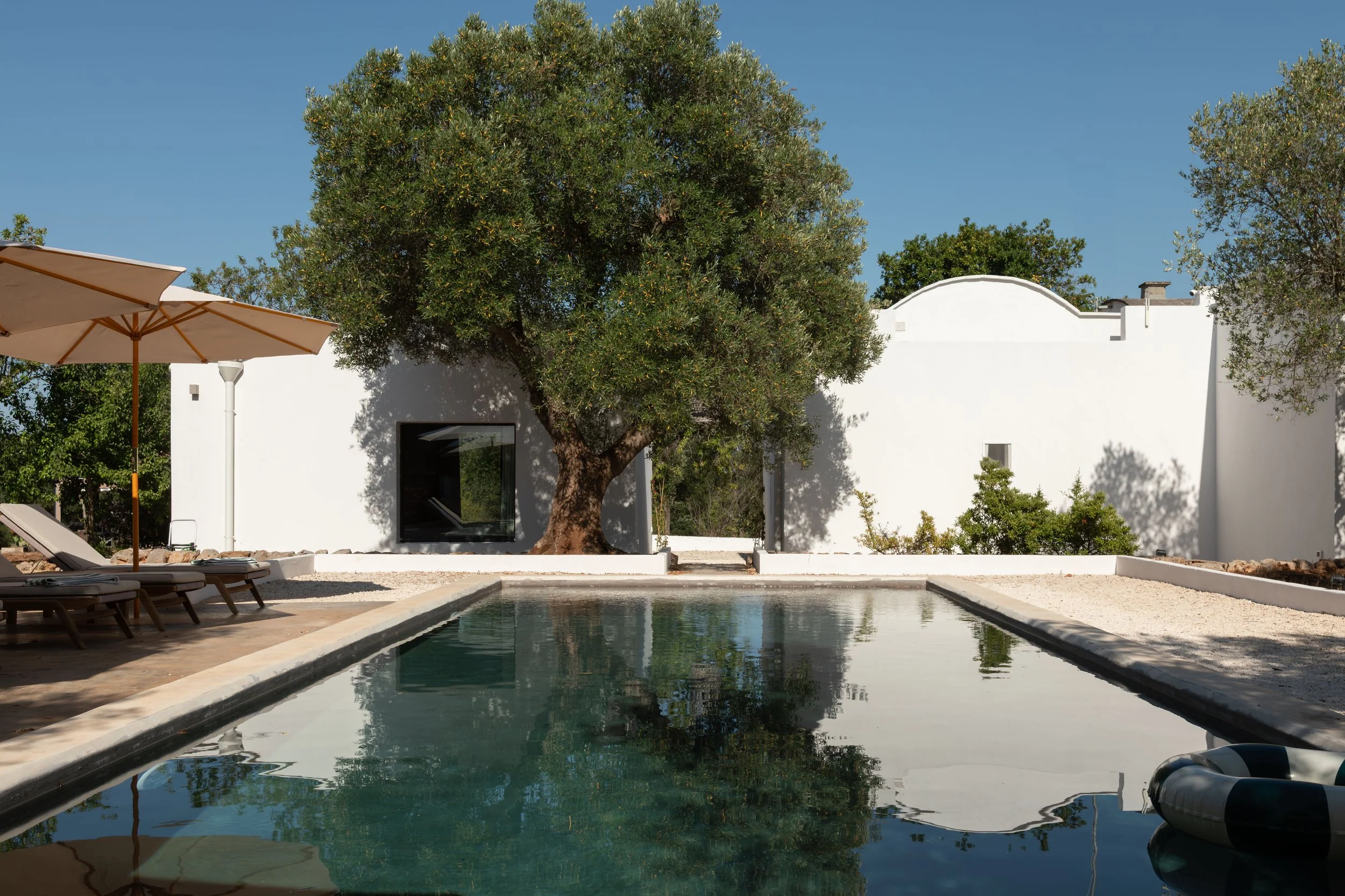 A modern backyard with a rectangular pool, white concrete deck, lounge chairs with umbrellas, a large tree, and a white building with black window, all under a clear blue sky.