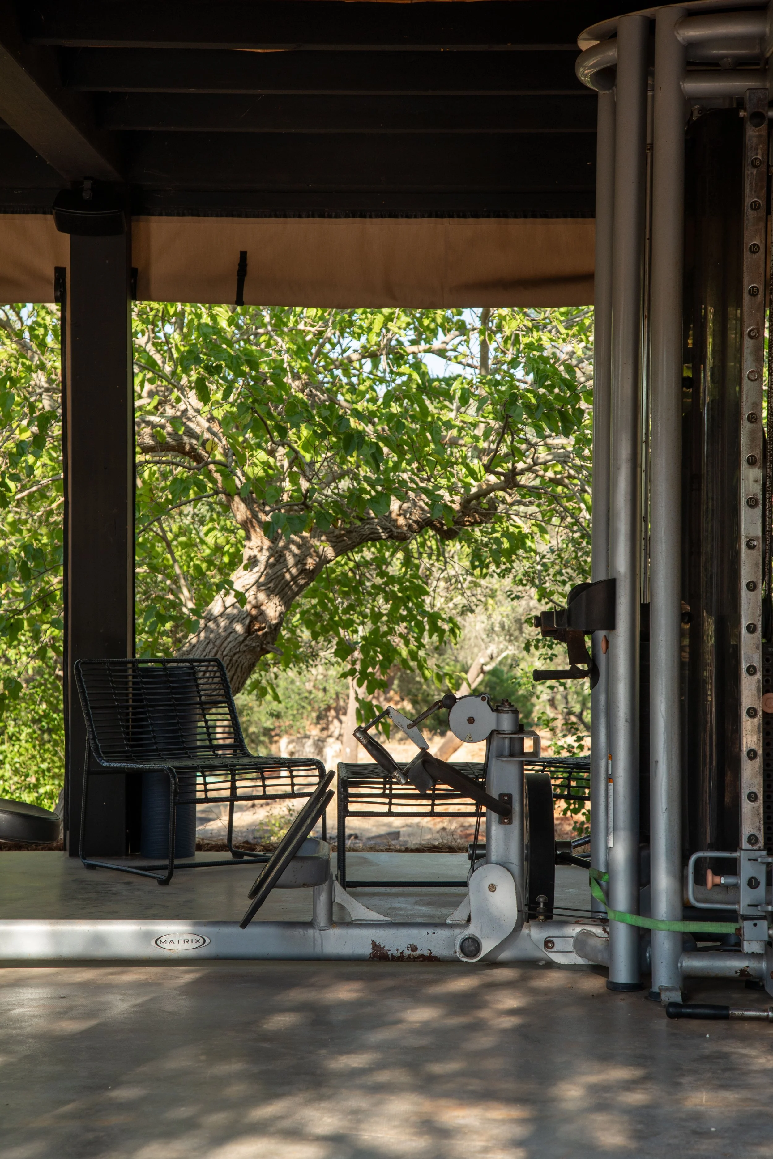 An outdoor gym with a metal workout machine, black wire chair, and a shaded patio, with leafy green trees in the background.