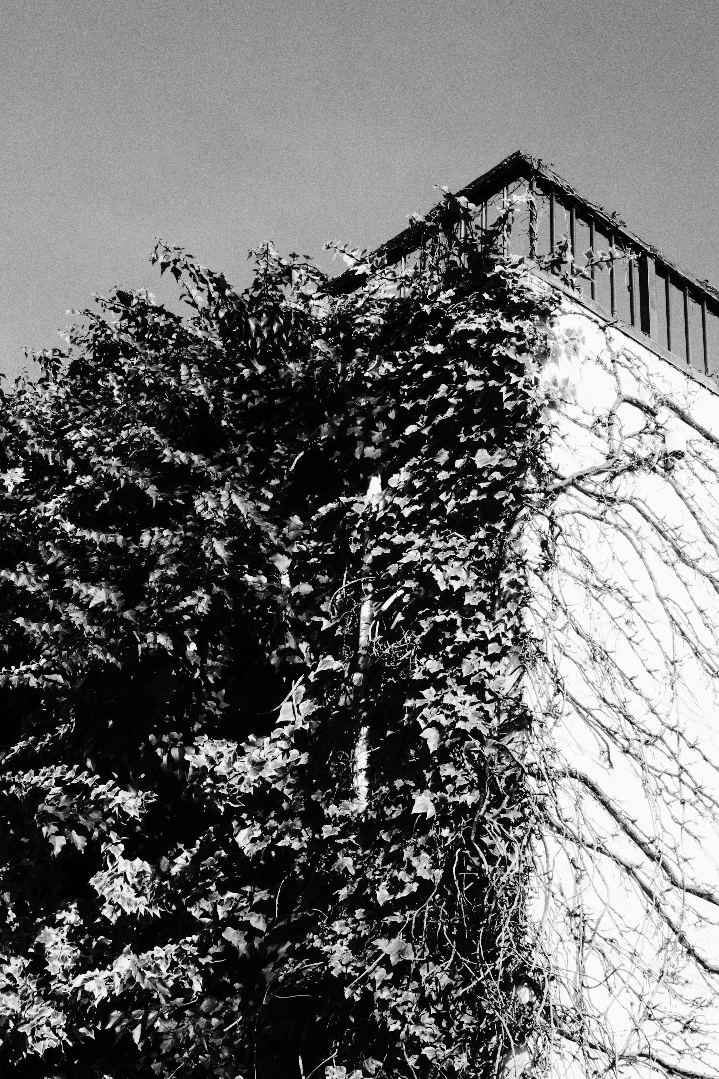20250103_0036.jpg