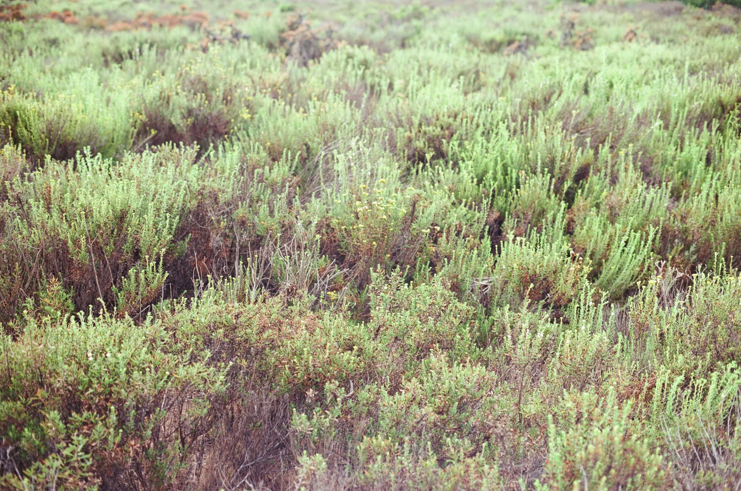 embracing fears of inadequacy and listlessness